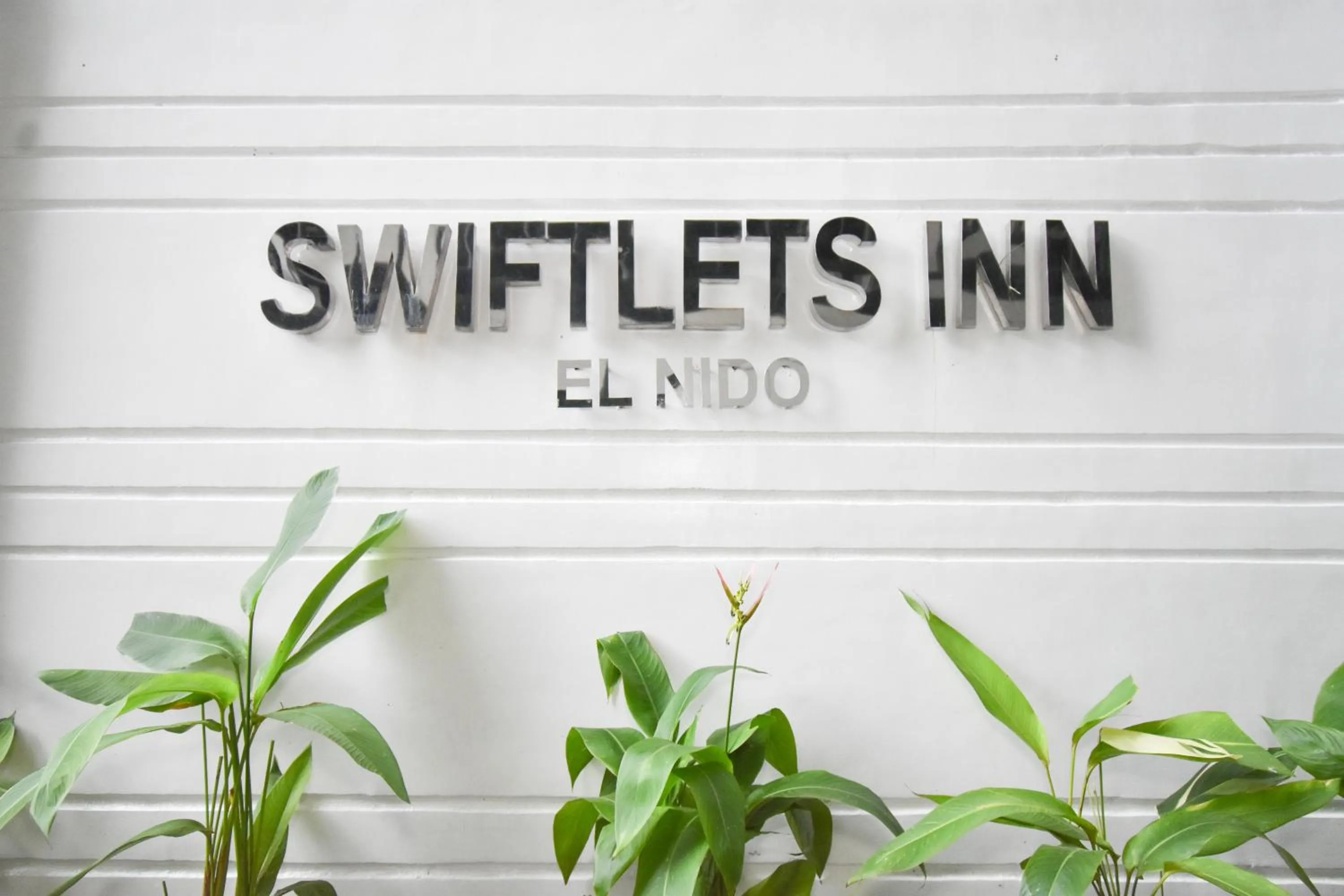 Swiftlets Inn