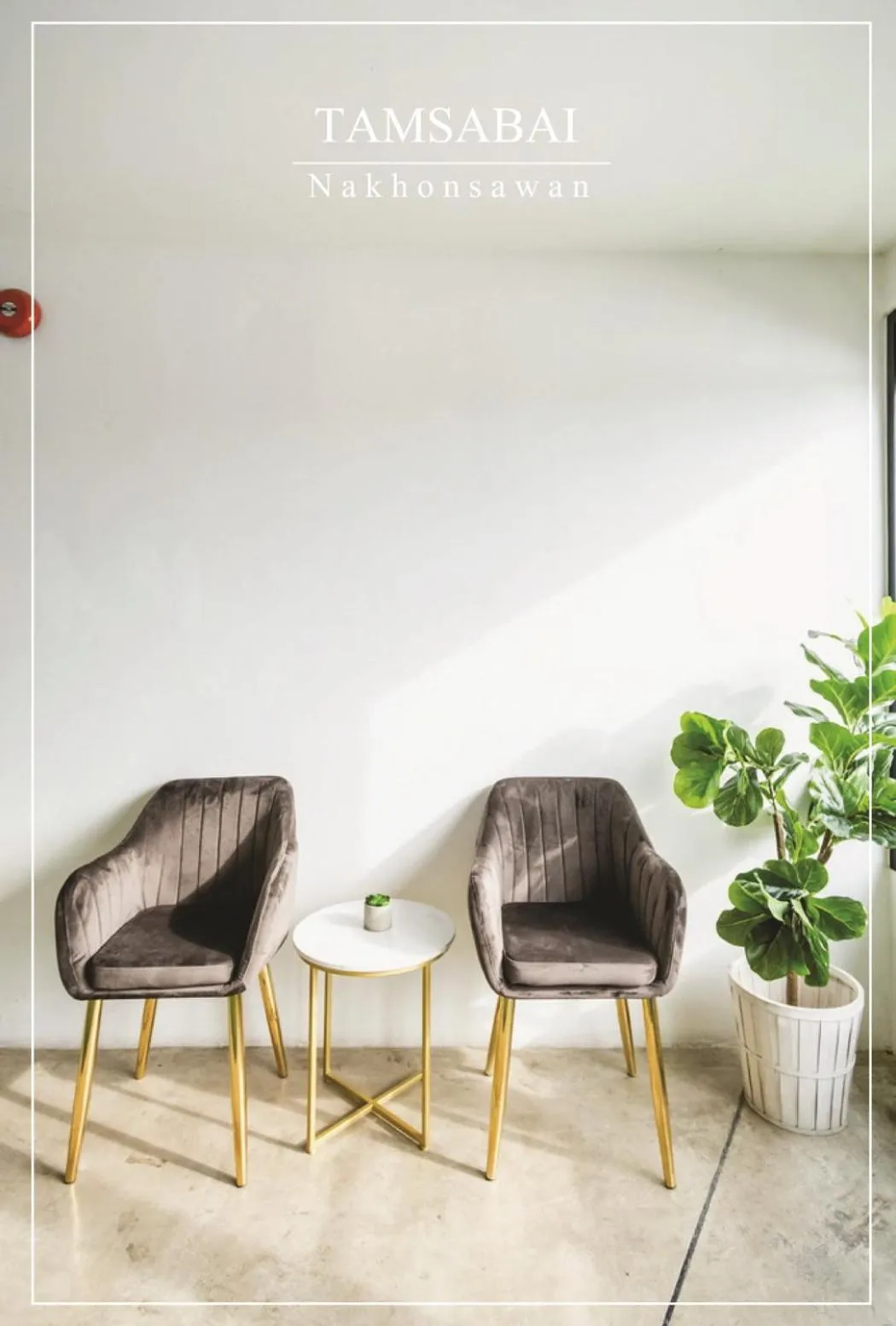 Area and facilities in Tamsabai hotel