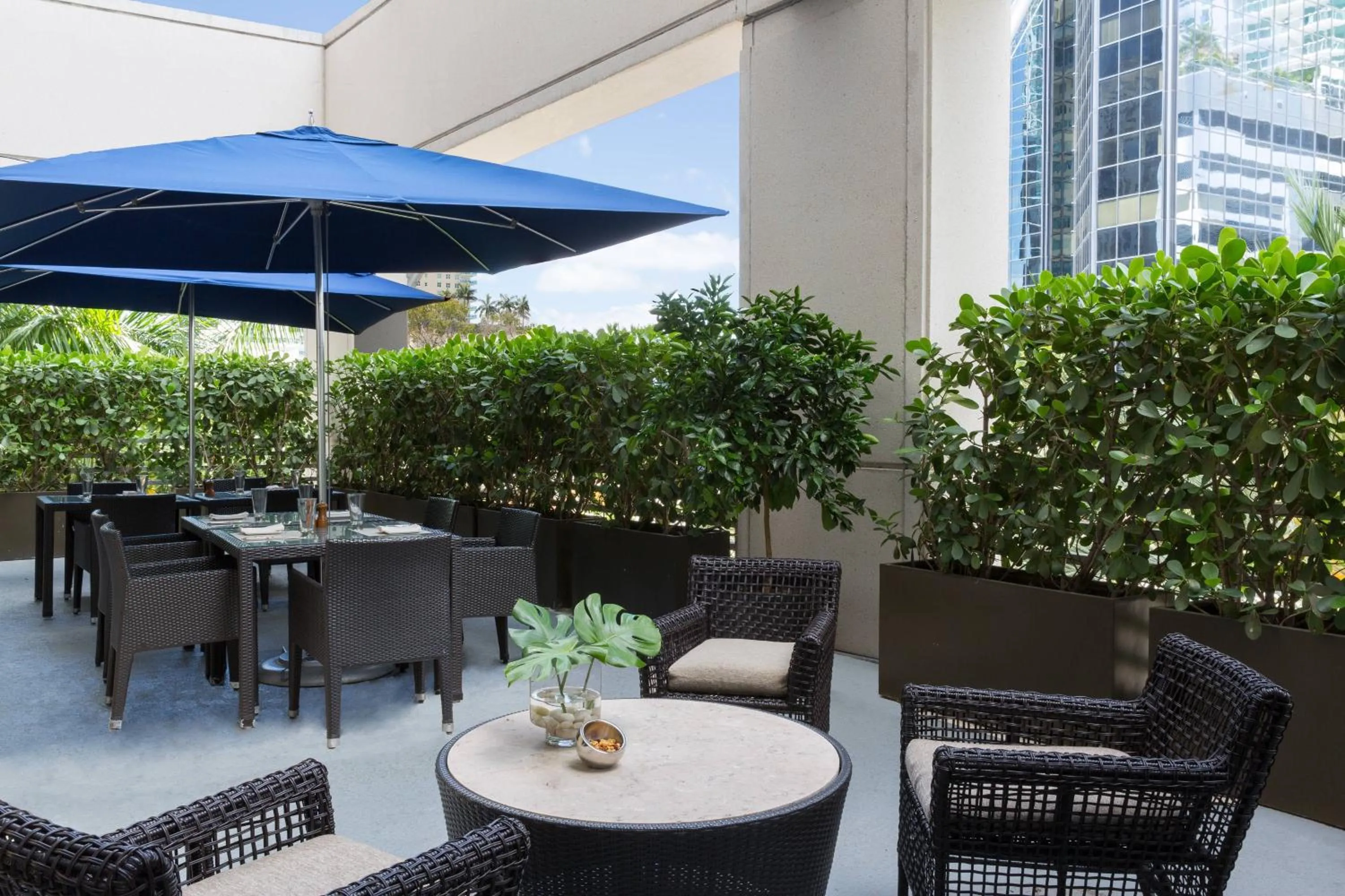 Restaurant/places to eat in JW Marriott Miami