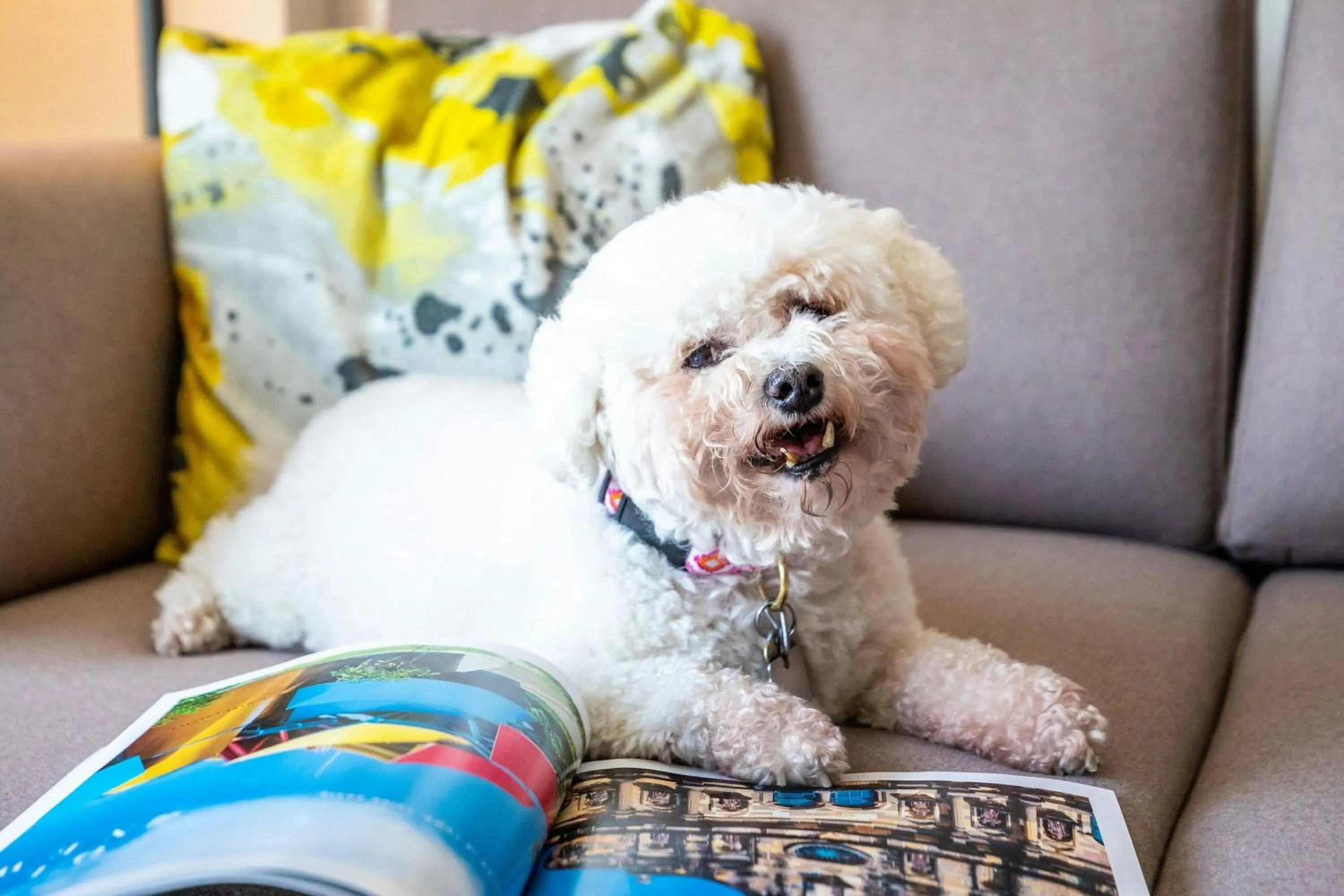 Other in Hotel Clio, a Luxury Collection Hotel, Denver Cherry Creek