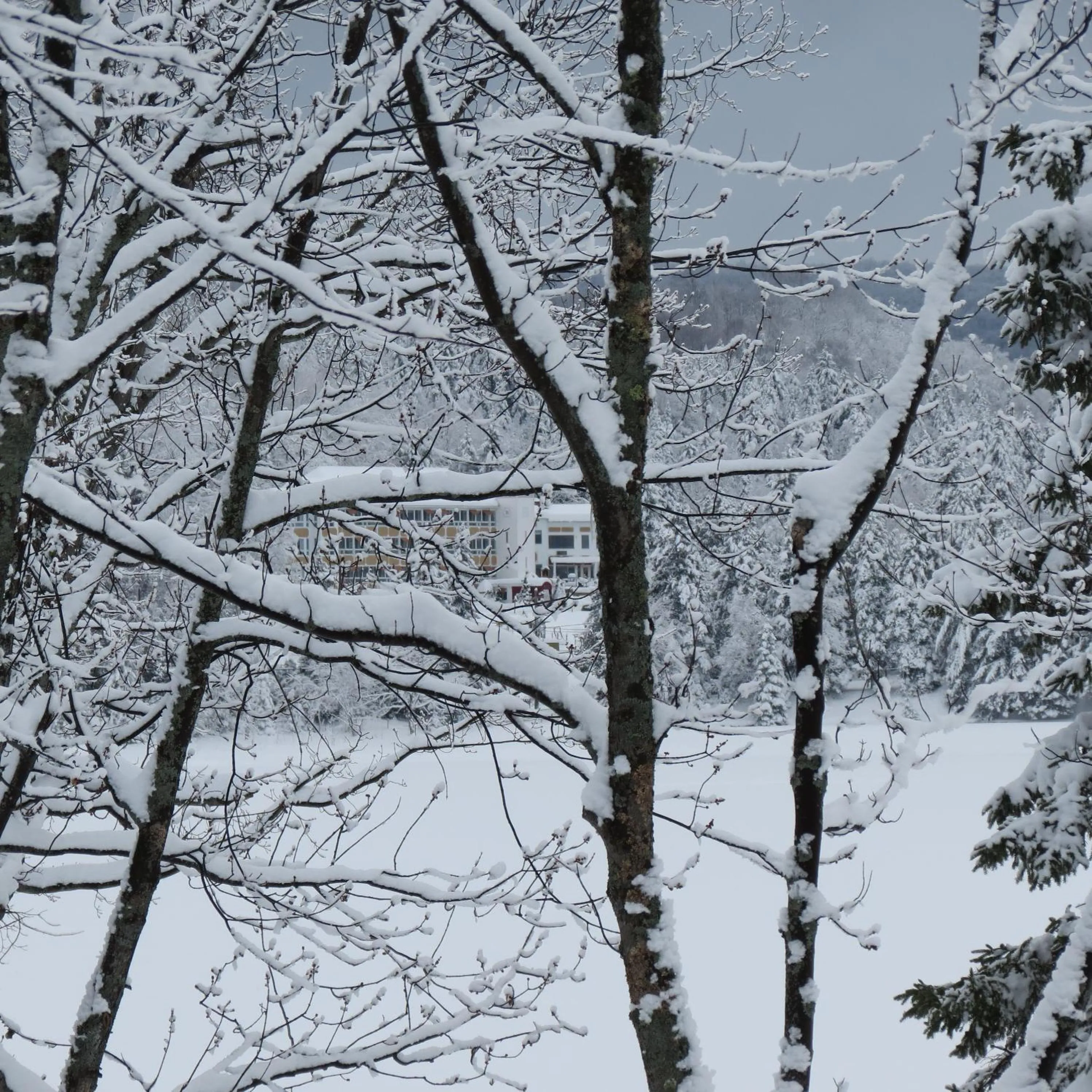 Natural landscape in Auberge Hotel Spa Watel