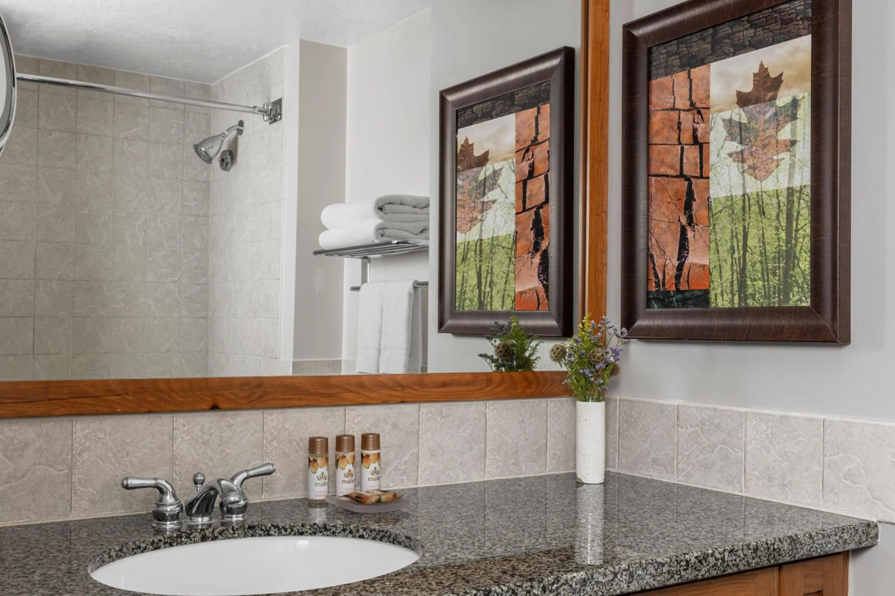 Bathroom in Marriott Grand Residence Club, Lake Tahoe