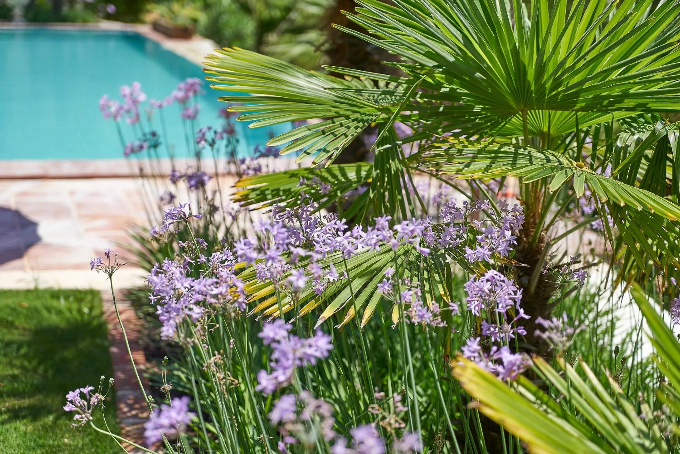 Villa Taraça Alaçatı Romantik Otel