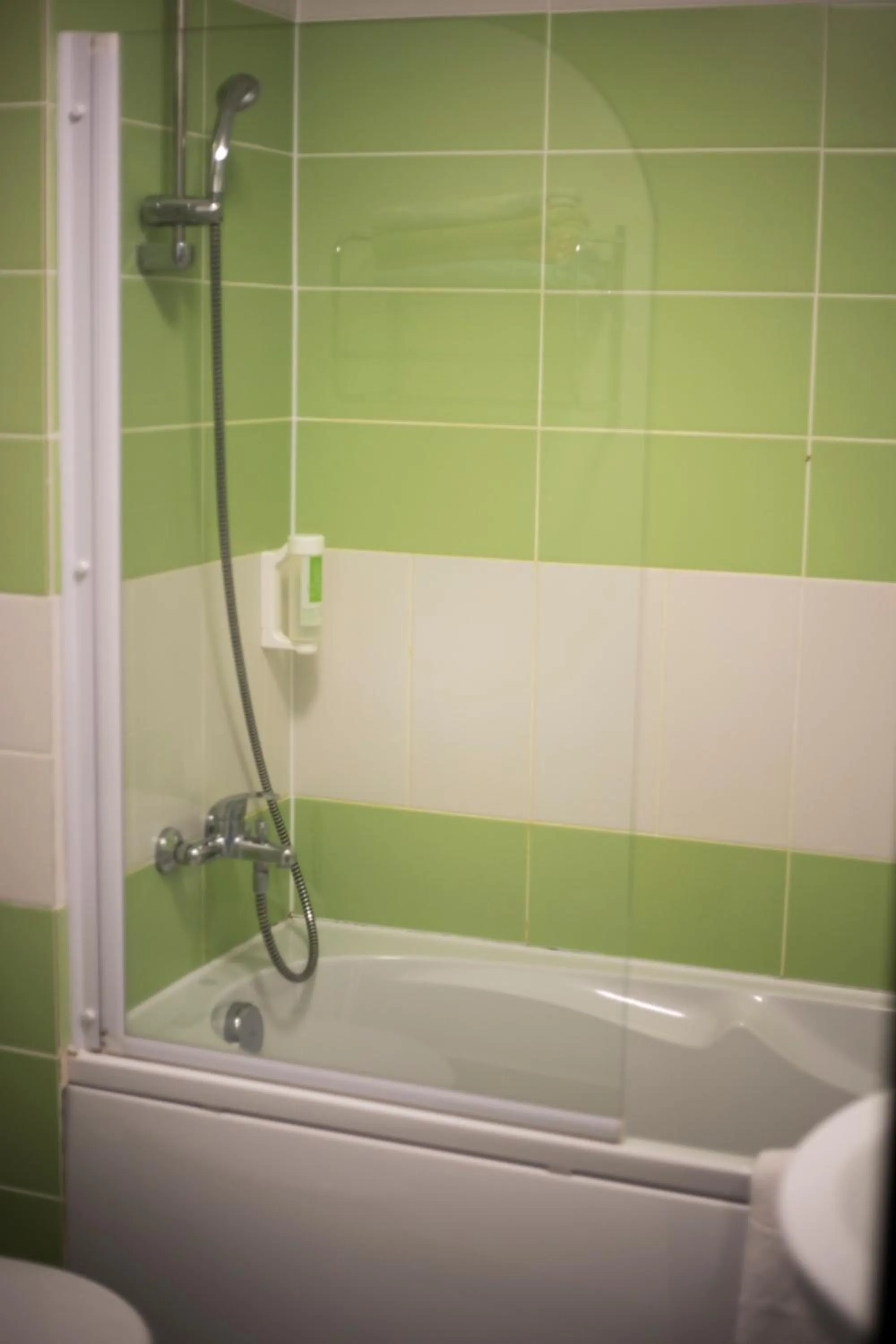 Bathroom in Hotel Slavie