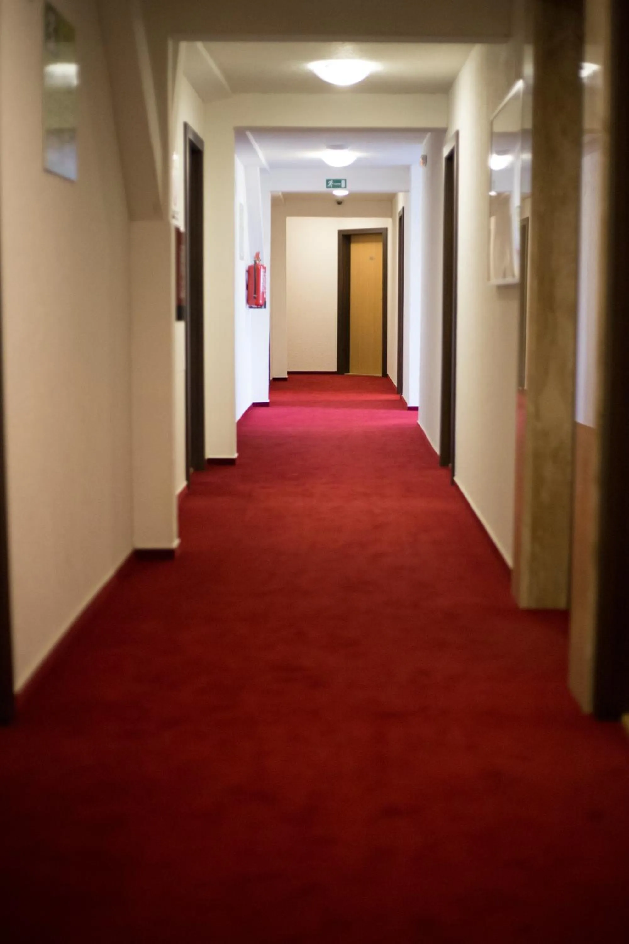 Area and facilities in Hotel Slavie