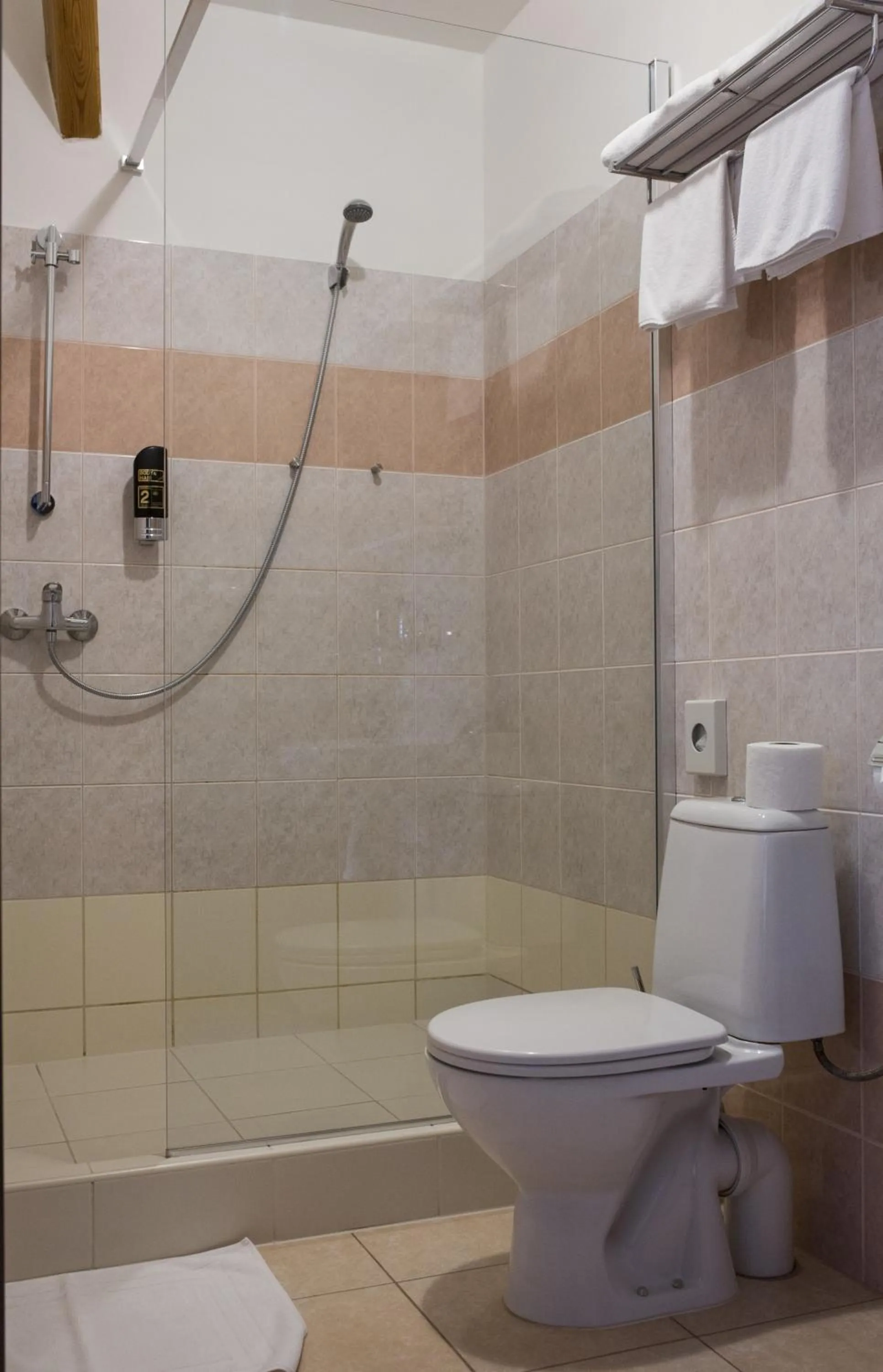 Shower in Hotel Selsky Dvur