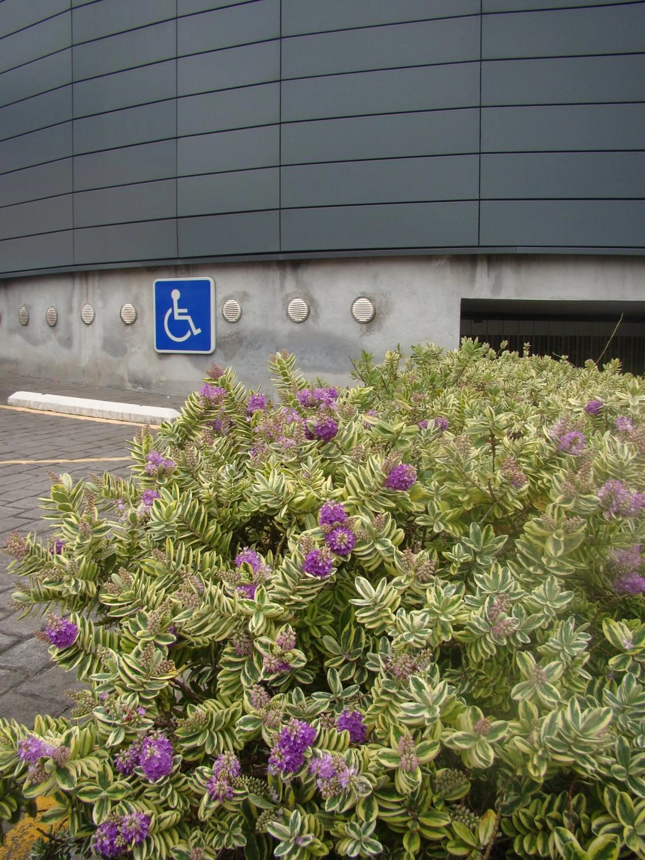 Facade/entrance in Hotel Ortuella