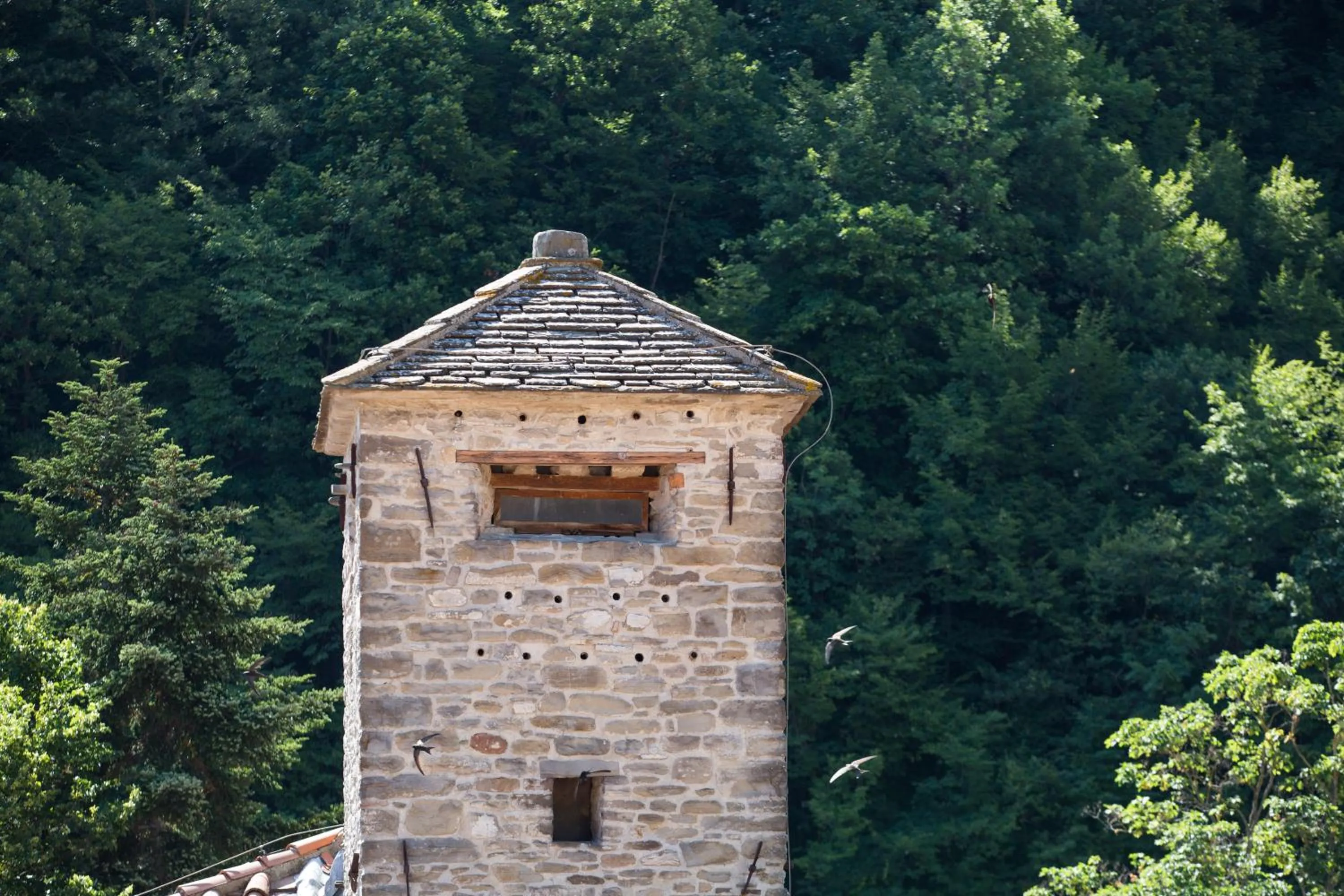 View (from property/room) in Hotel Delle Terme Santa Agnese