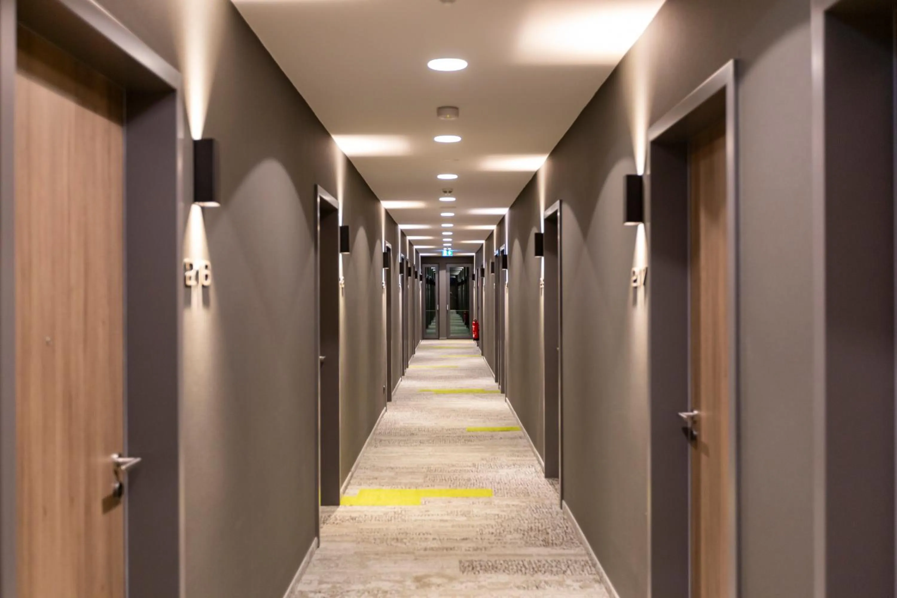 Photo of the whole room in Hotel MODI