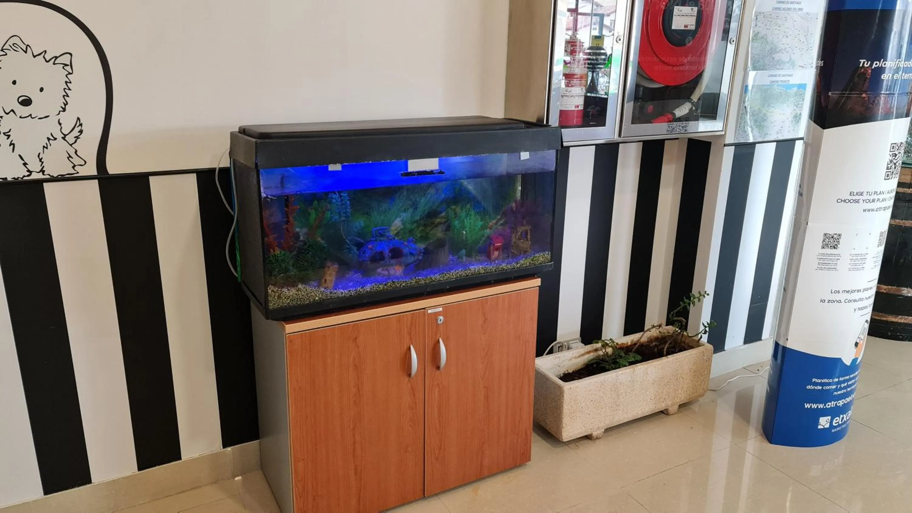 Animals, TV/Entertainment Center in Hotel Ciudad de Corella