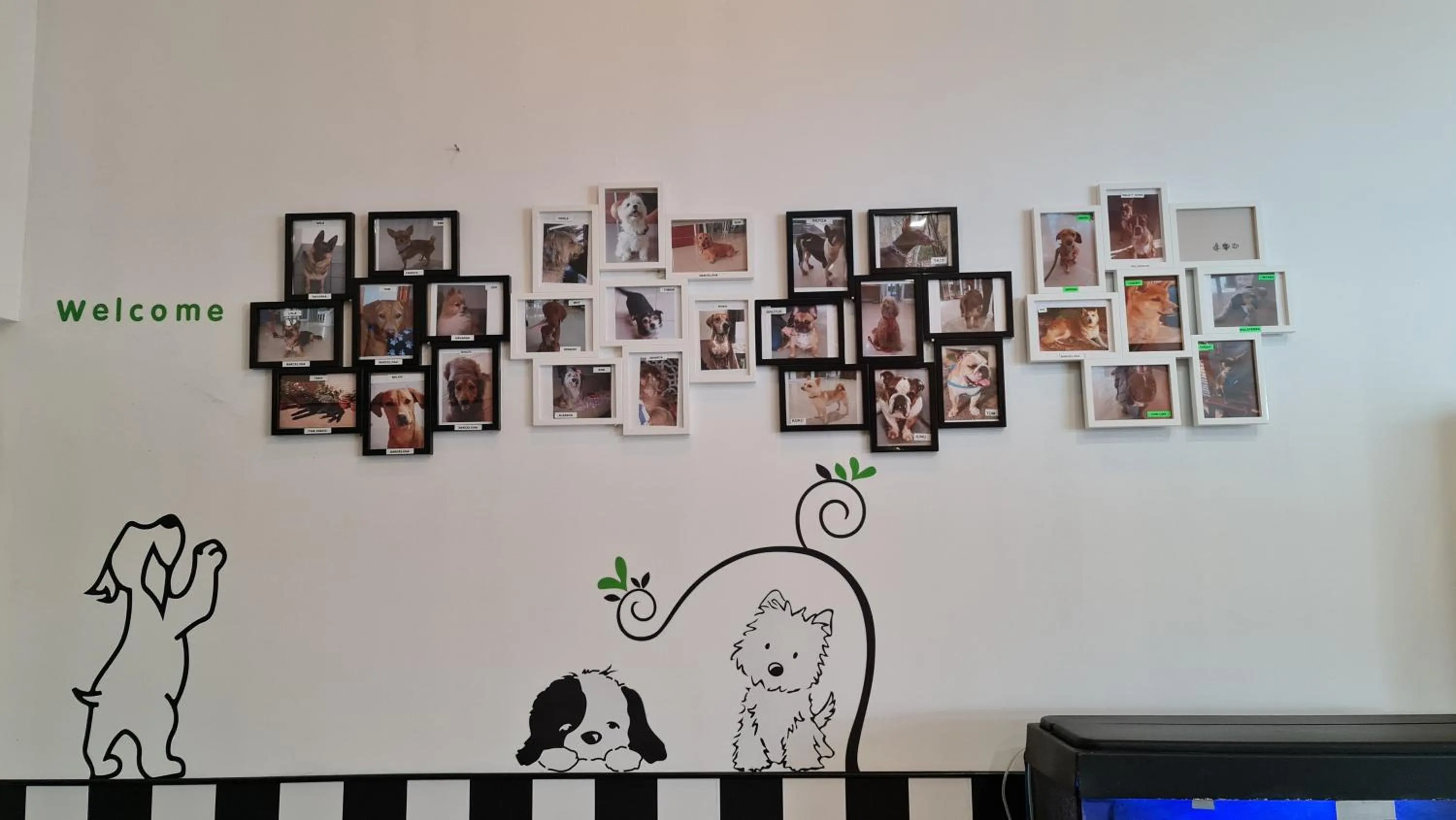 Pets in Hotel Ciudad de Corella