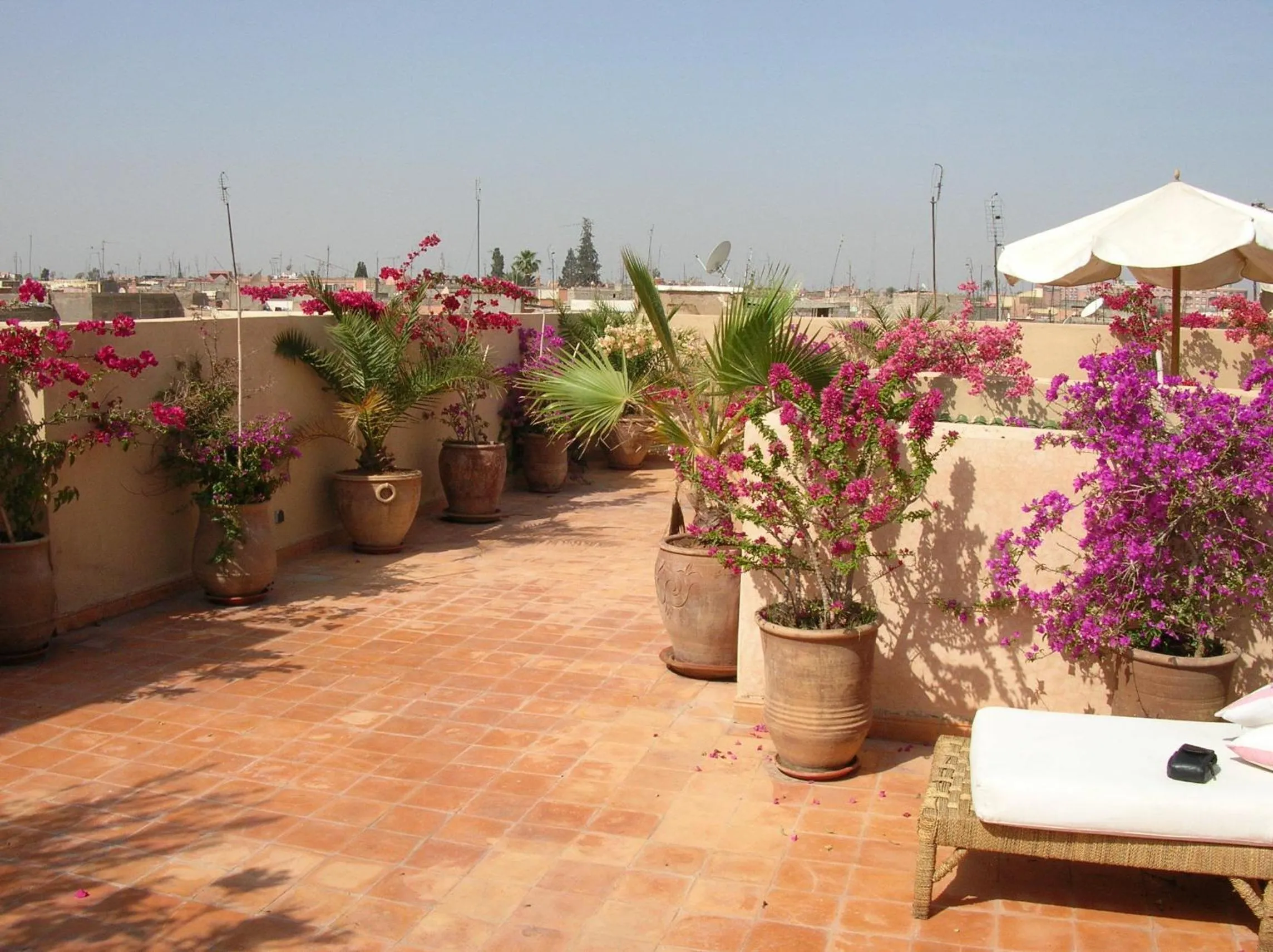 Balcony/Terrace in Riad Irene