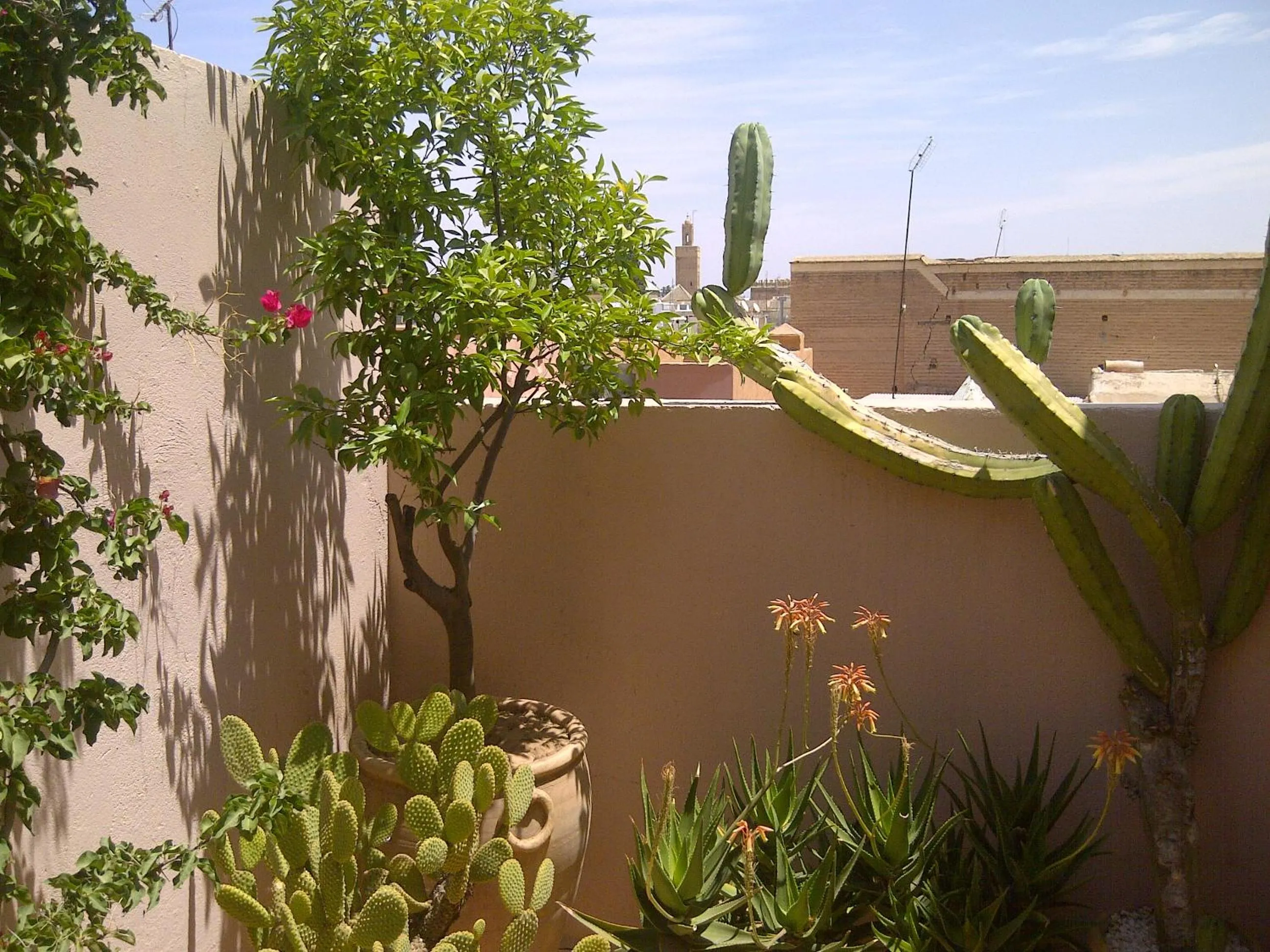 Balcony/Terrace in Riad Irene