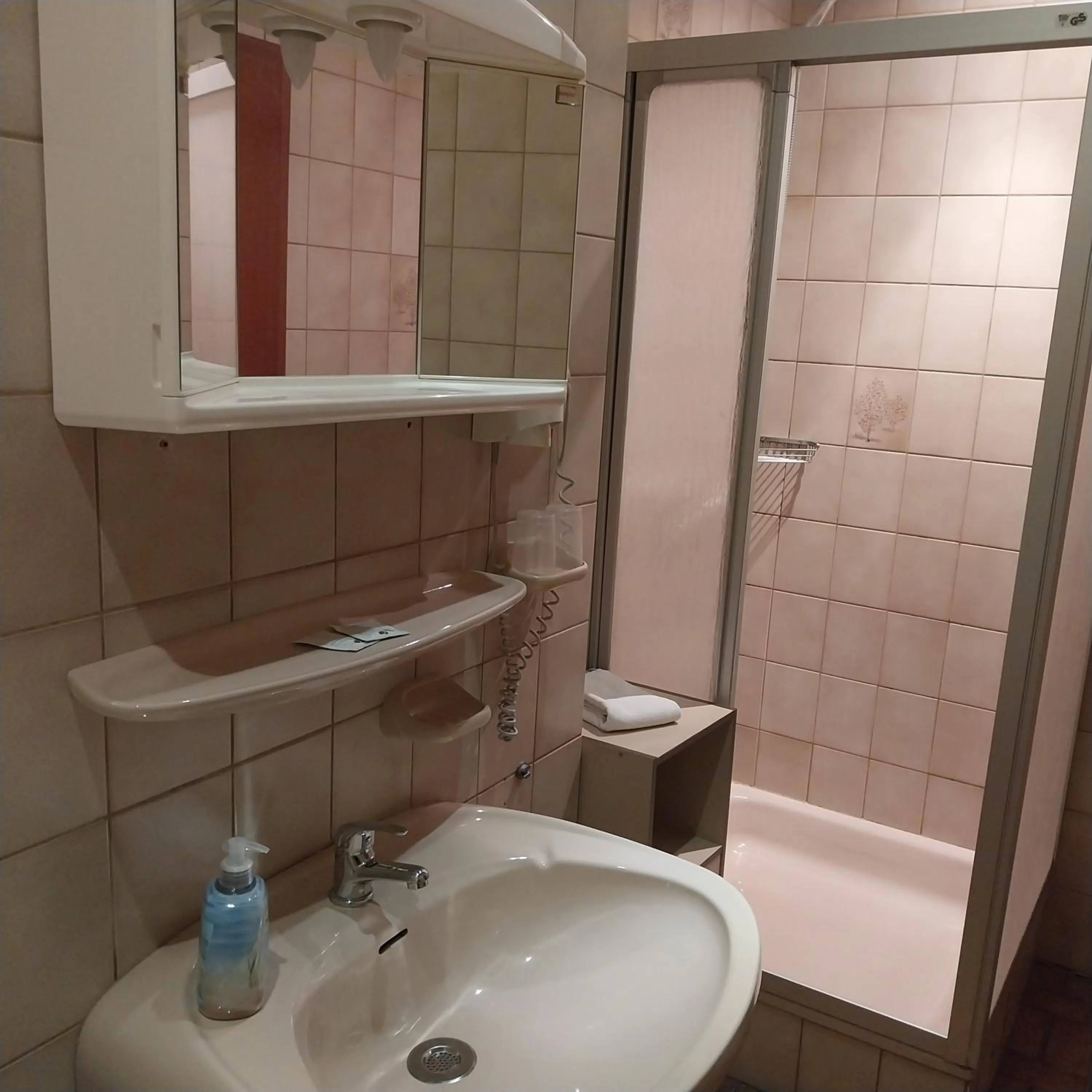 Shower in Landhaus im kühlen Grunde Garni