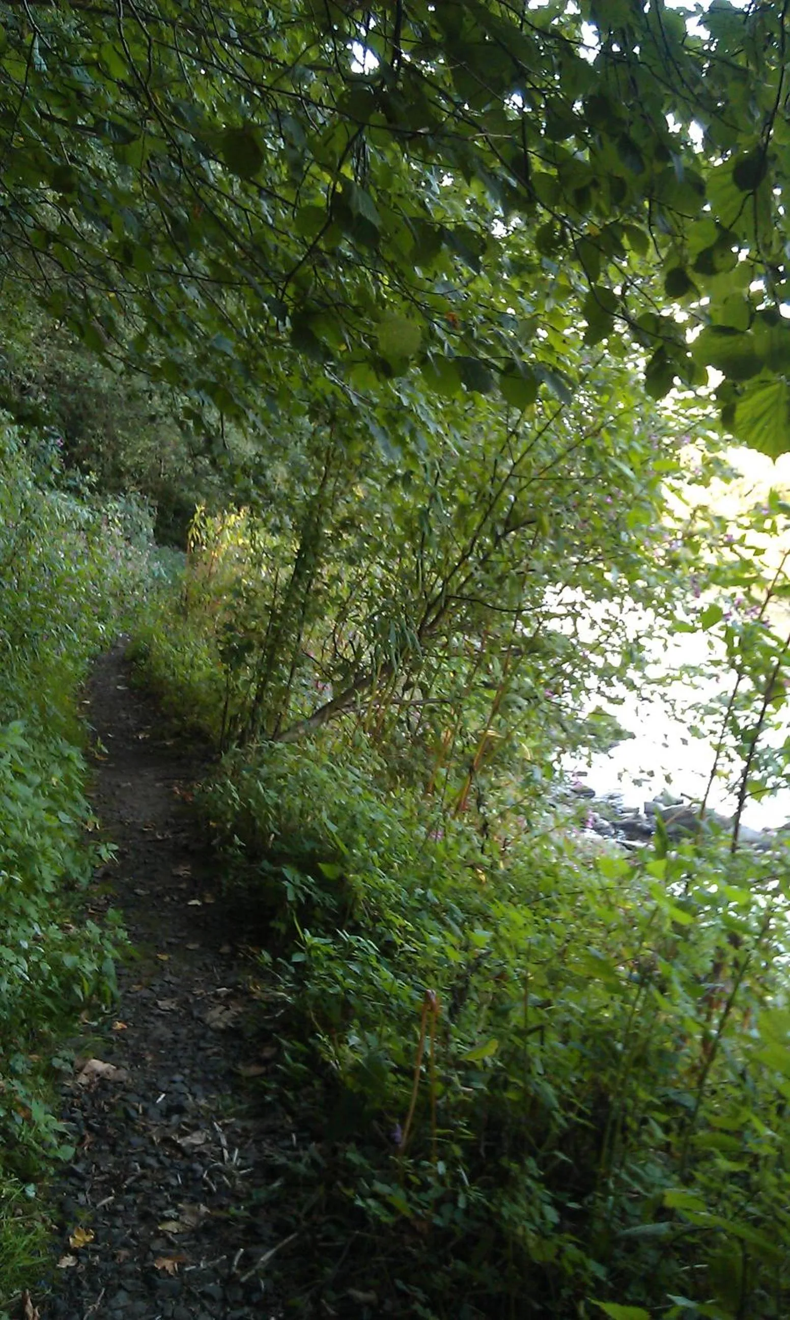 Natural landscape in Landhaus im kühlen Grunde Garni