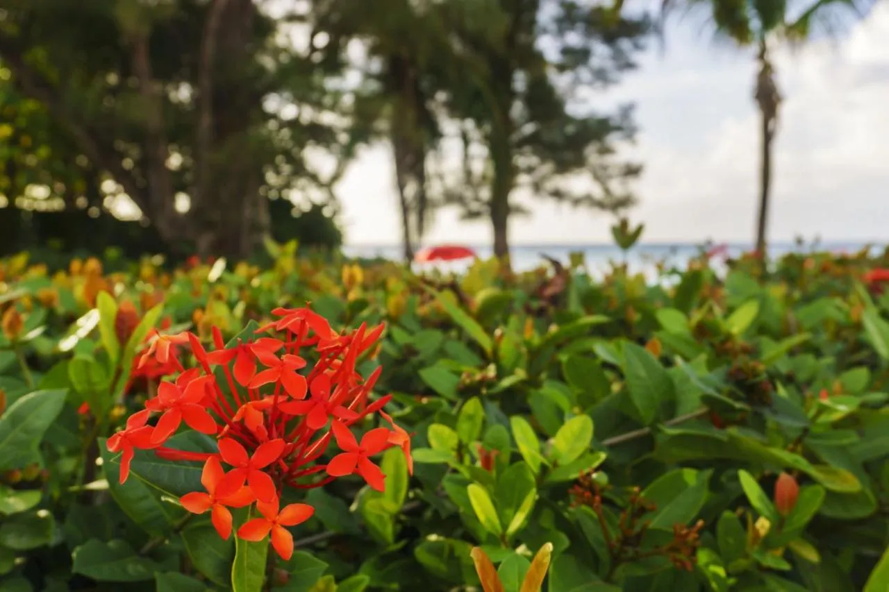 One Love Cozy Studio Seawind On The Bay