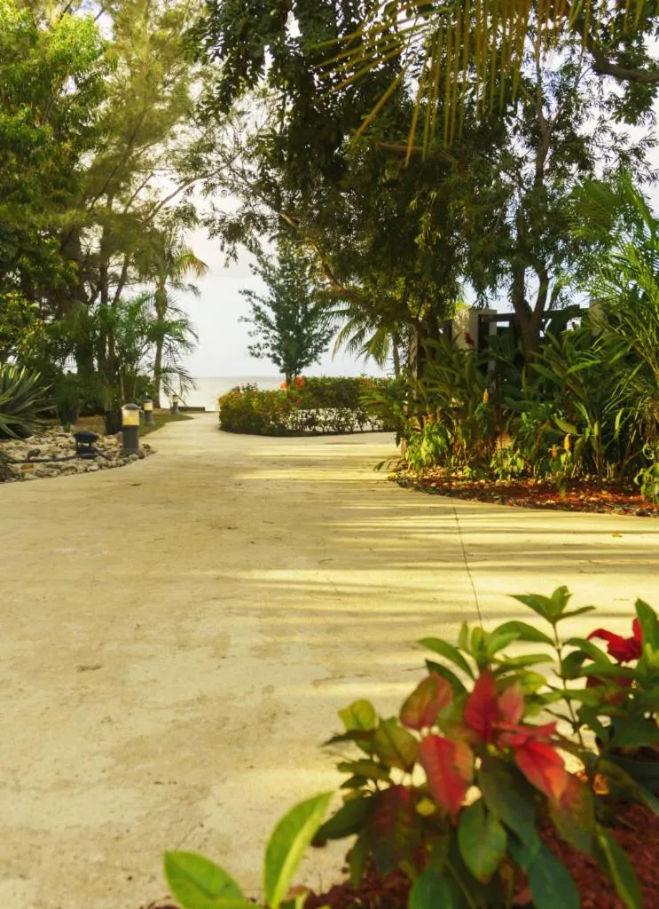 One Love Cozy Studio Seawind On The Bay