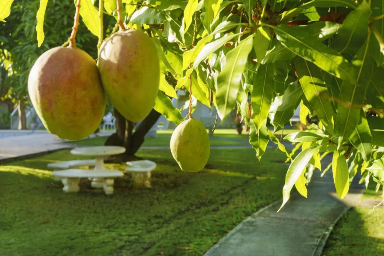 One Love Cozy Studio Seawind On The Bay