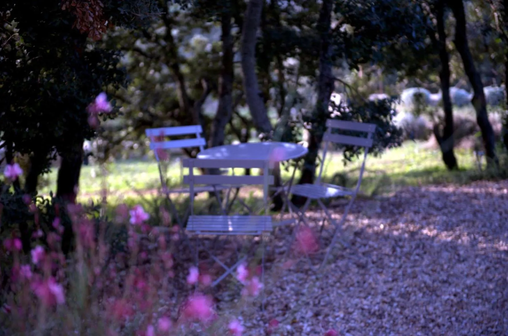 Garden in Les Terrasses - Gordes