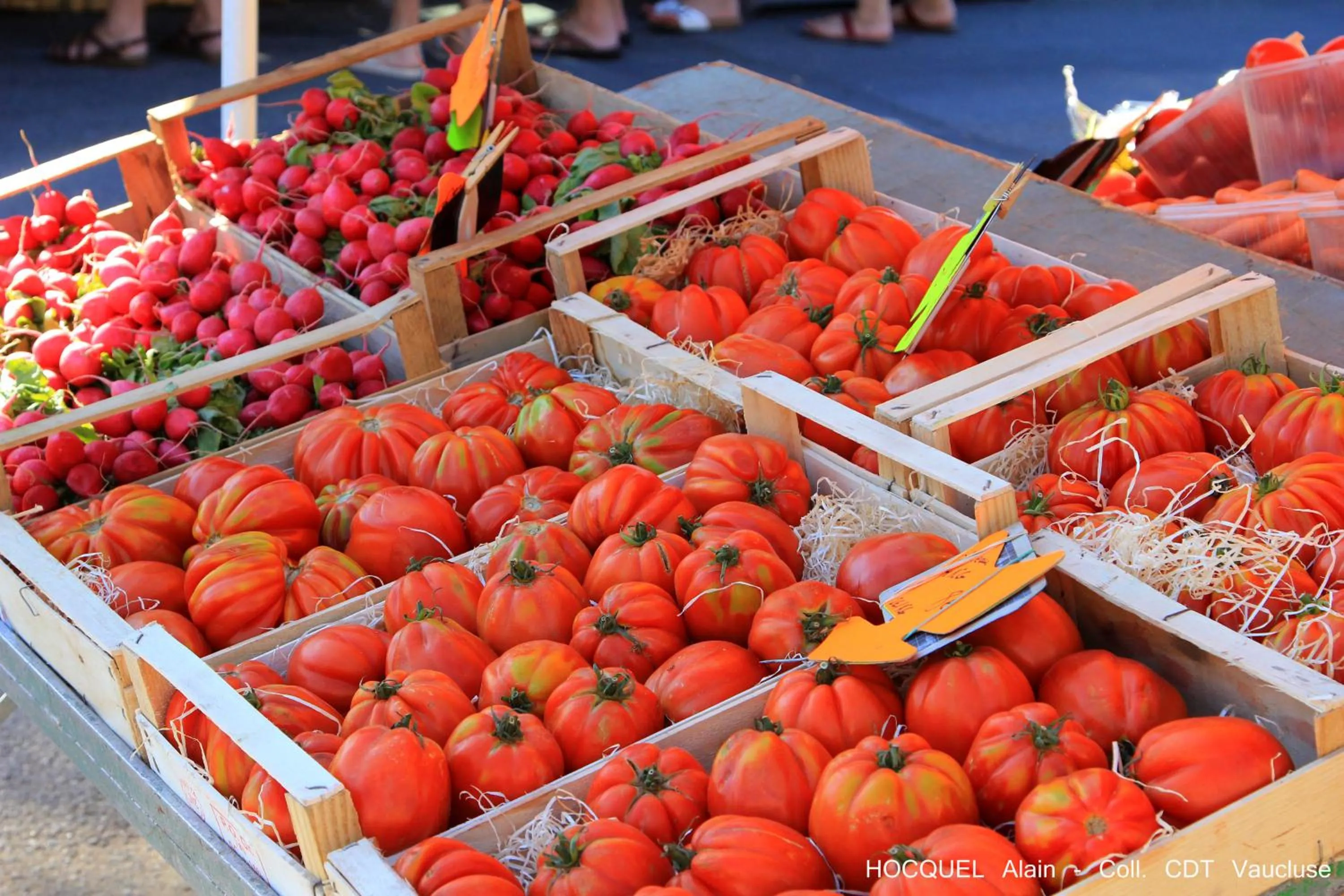 Other in Les Terrasses - Gordes