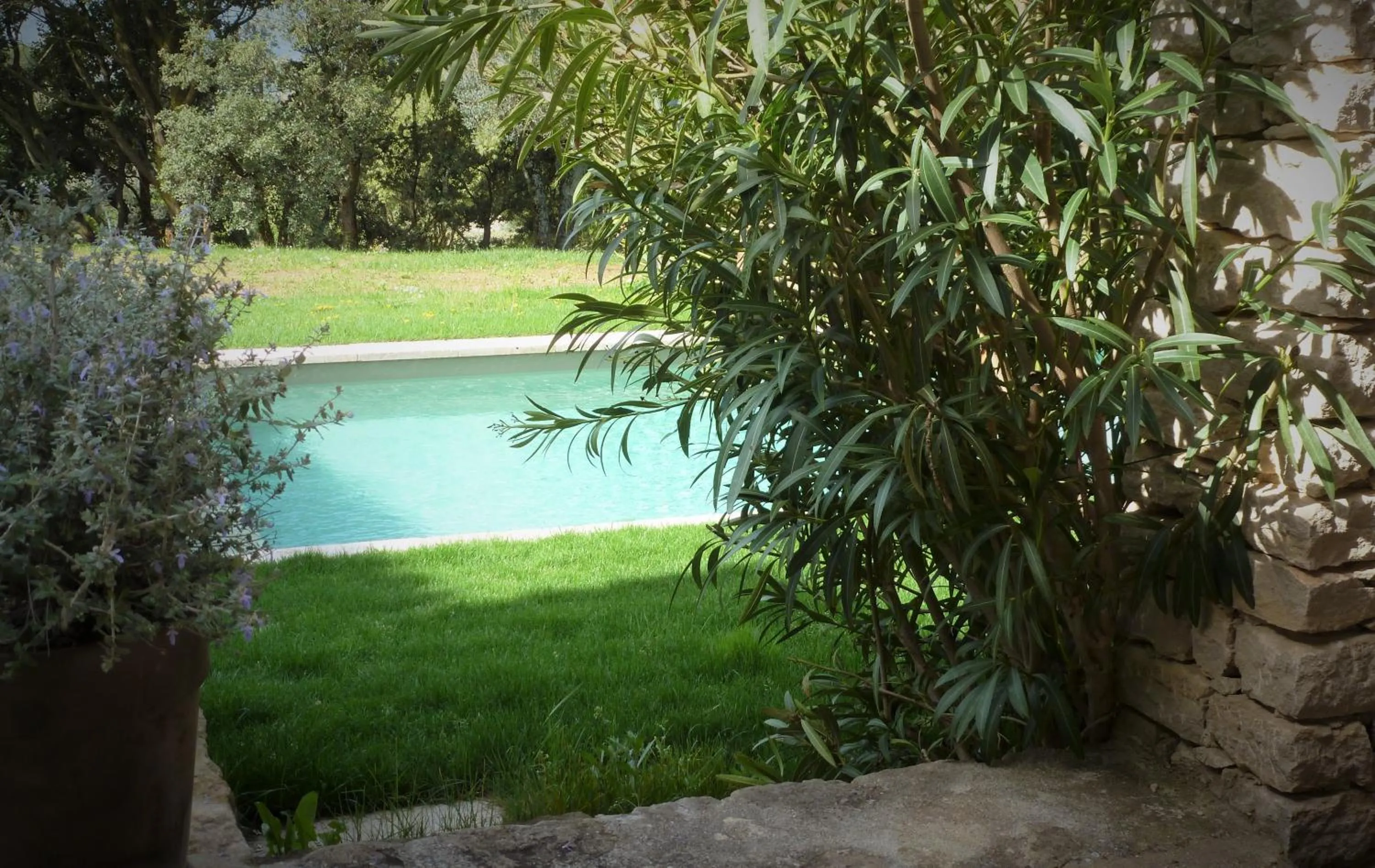 Garden in Les Terrasses - Gordes