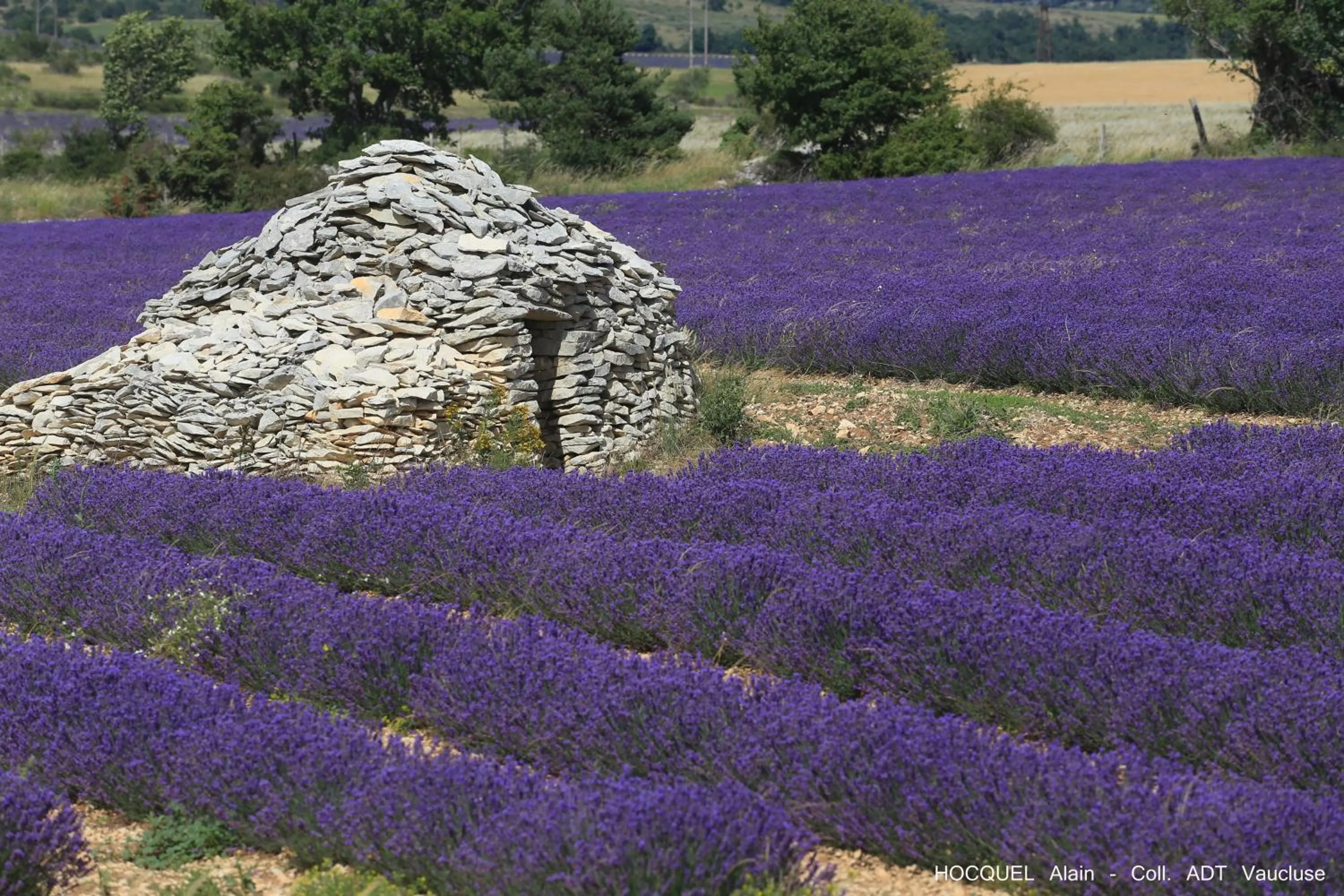 Nearby landmark in Les Terrasses - Gordes