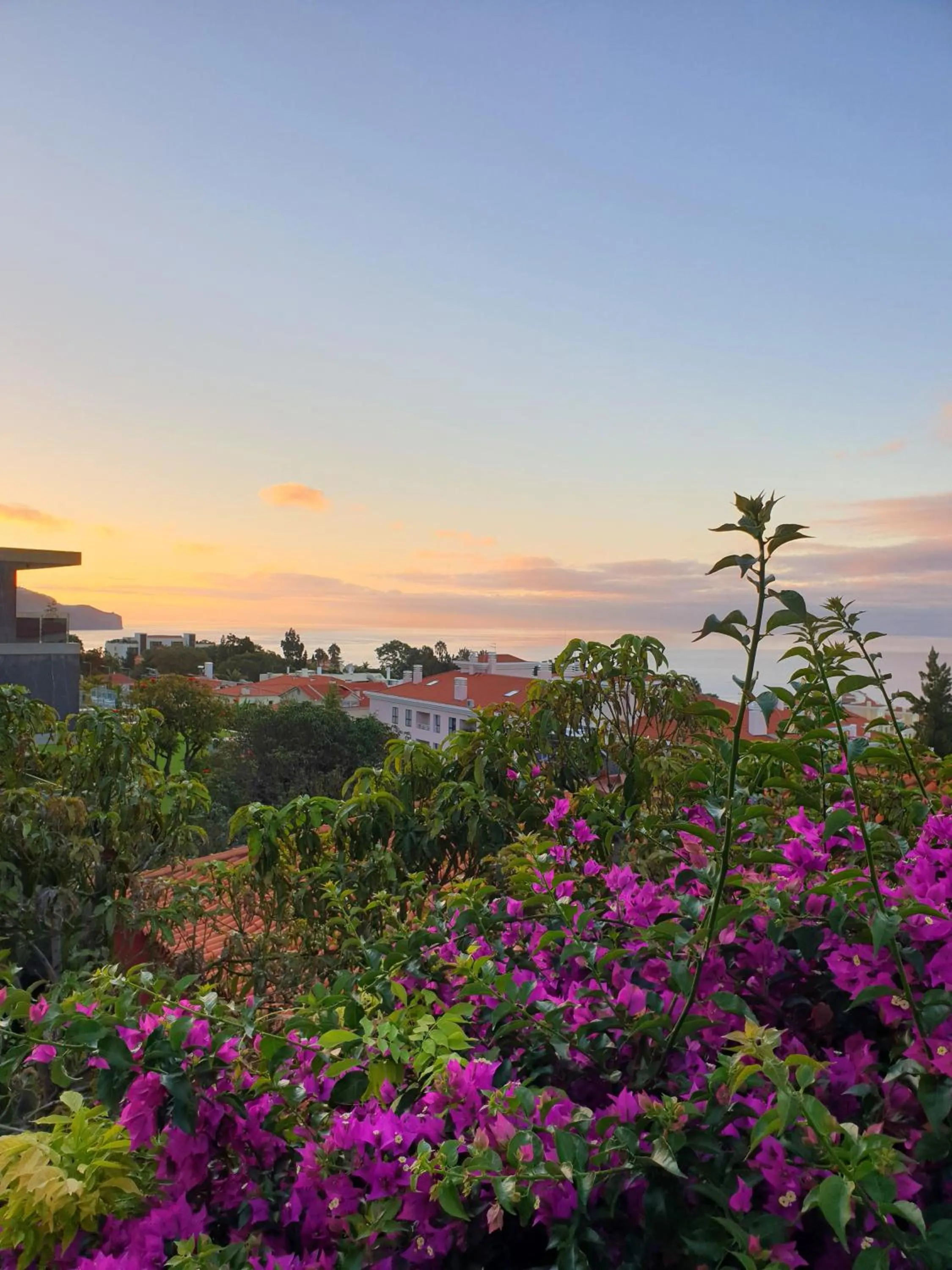 Sea view in GuestHouse Vila Lusitania