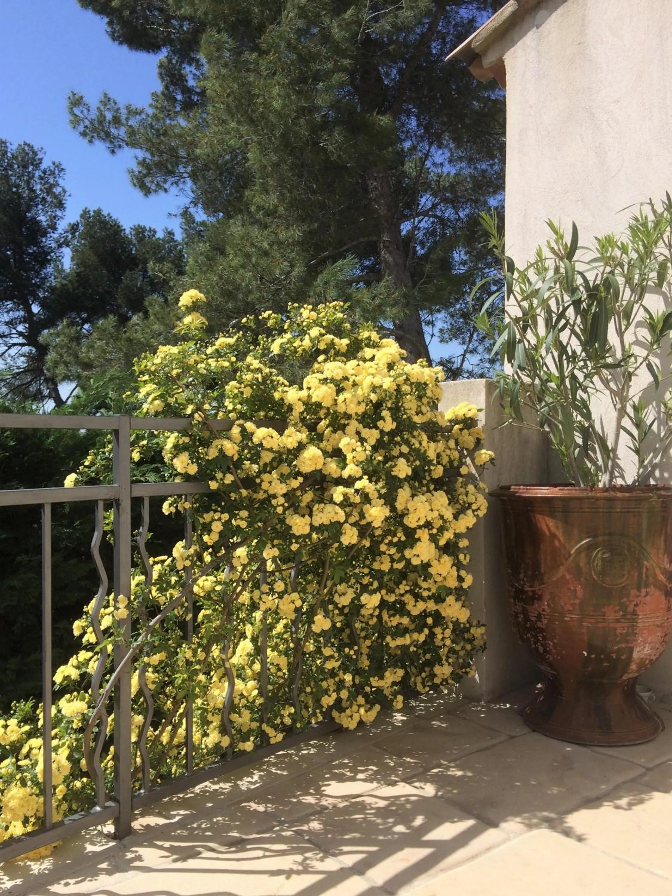 Balcony/Terrace in Lousoan