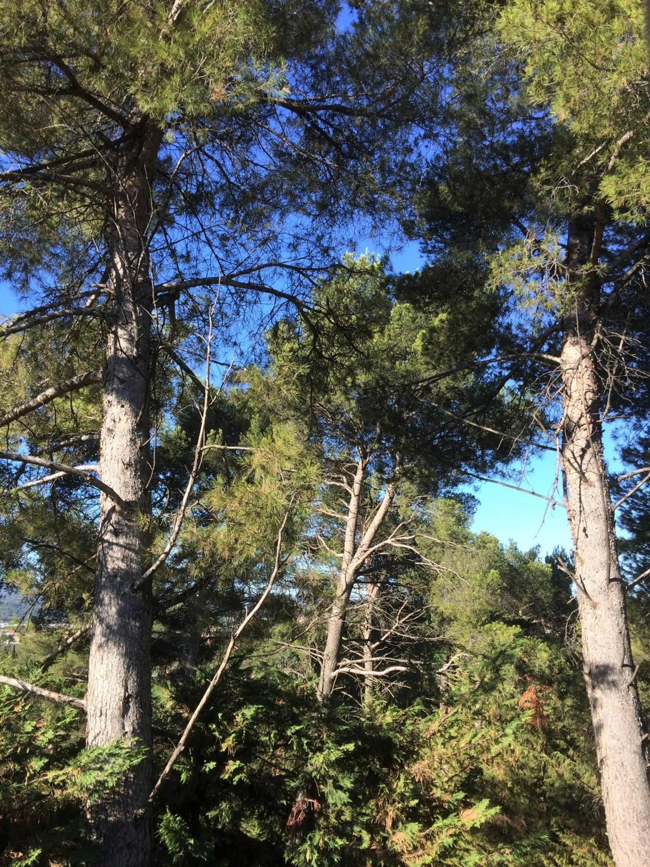 Natural landscape in Lousoan