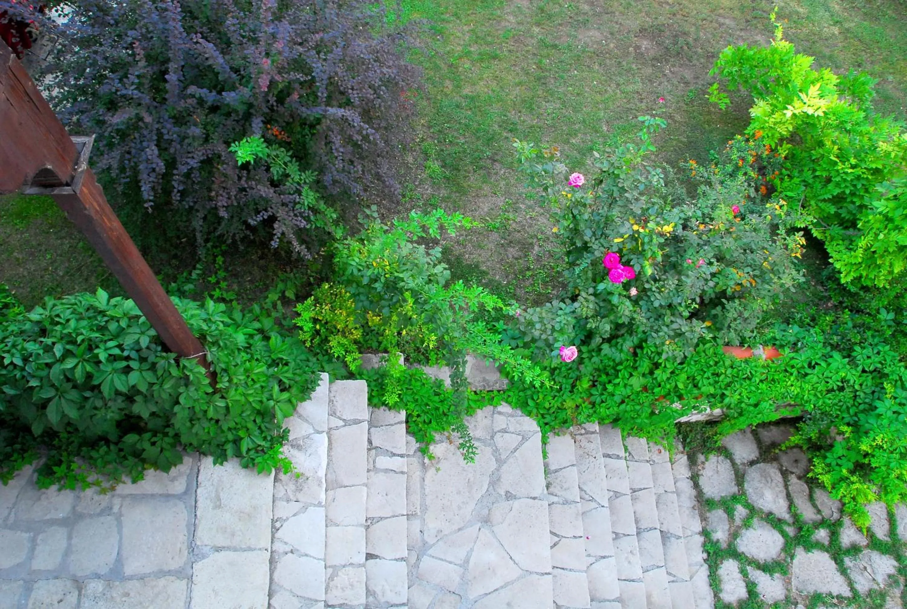 Garden in Mehves Hanim Konagi