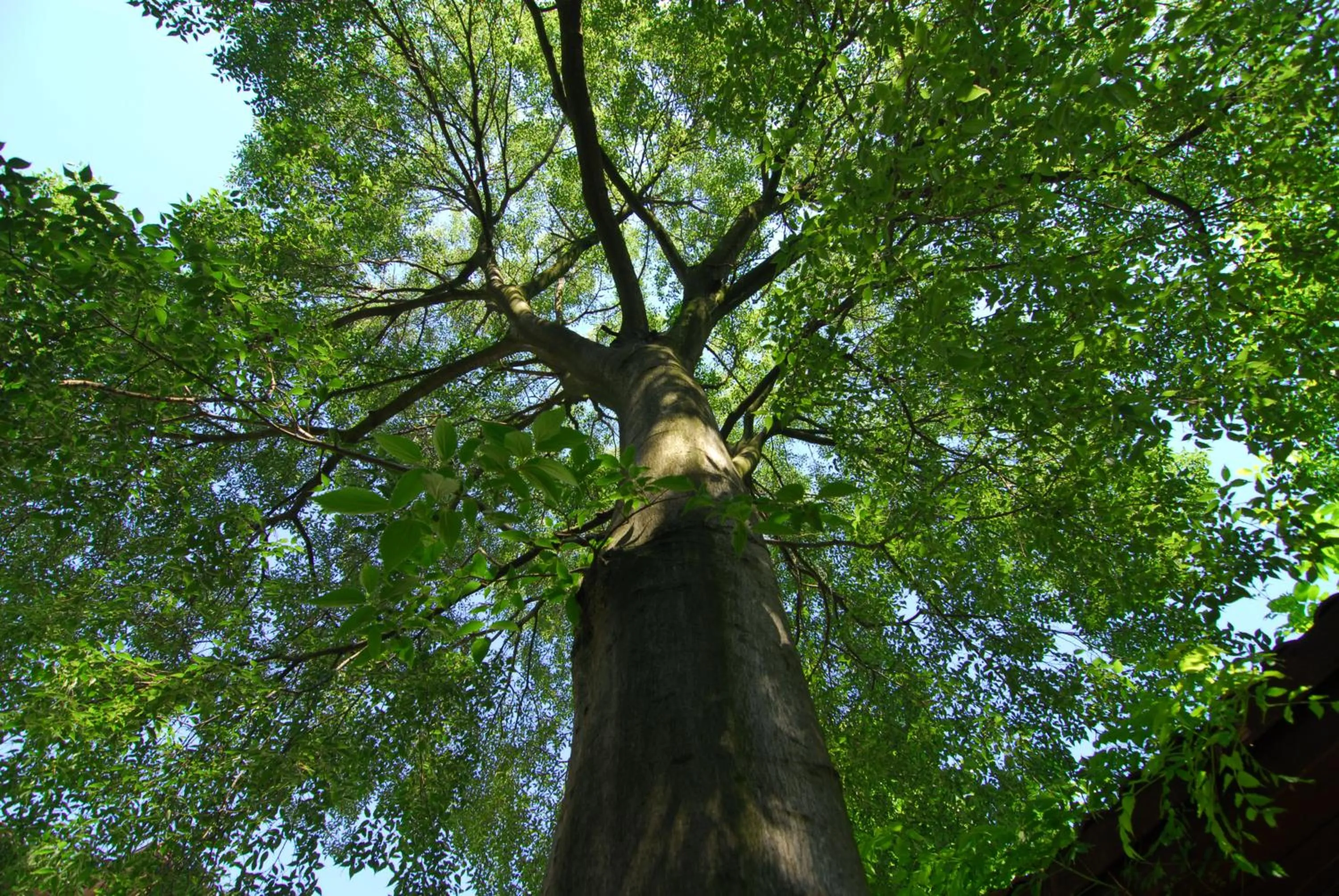 Off site in Mehves Hanim Konagi