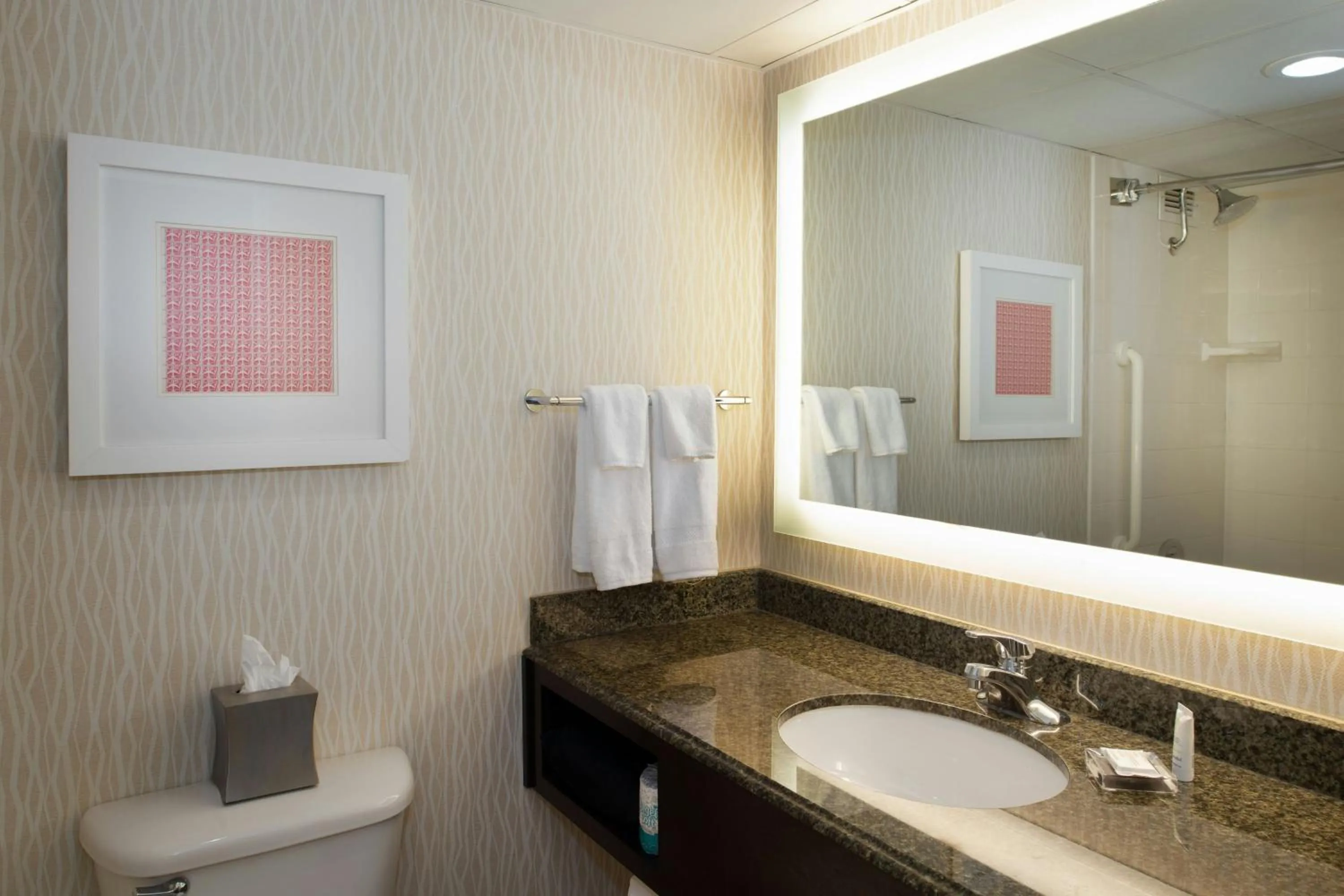 Bathroom in Marriott St. Louis Airport