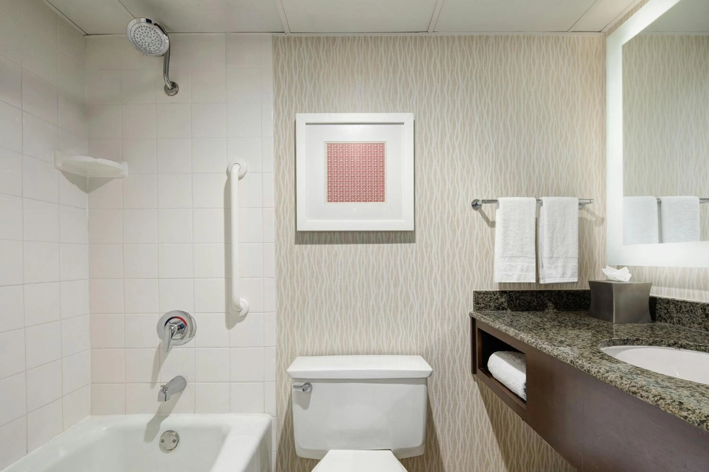 Bathroom in Marriott St. Louis Airport