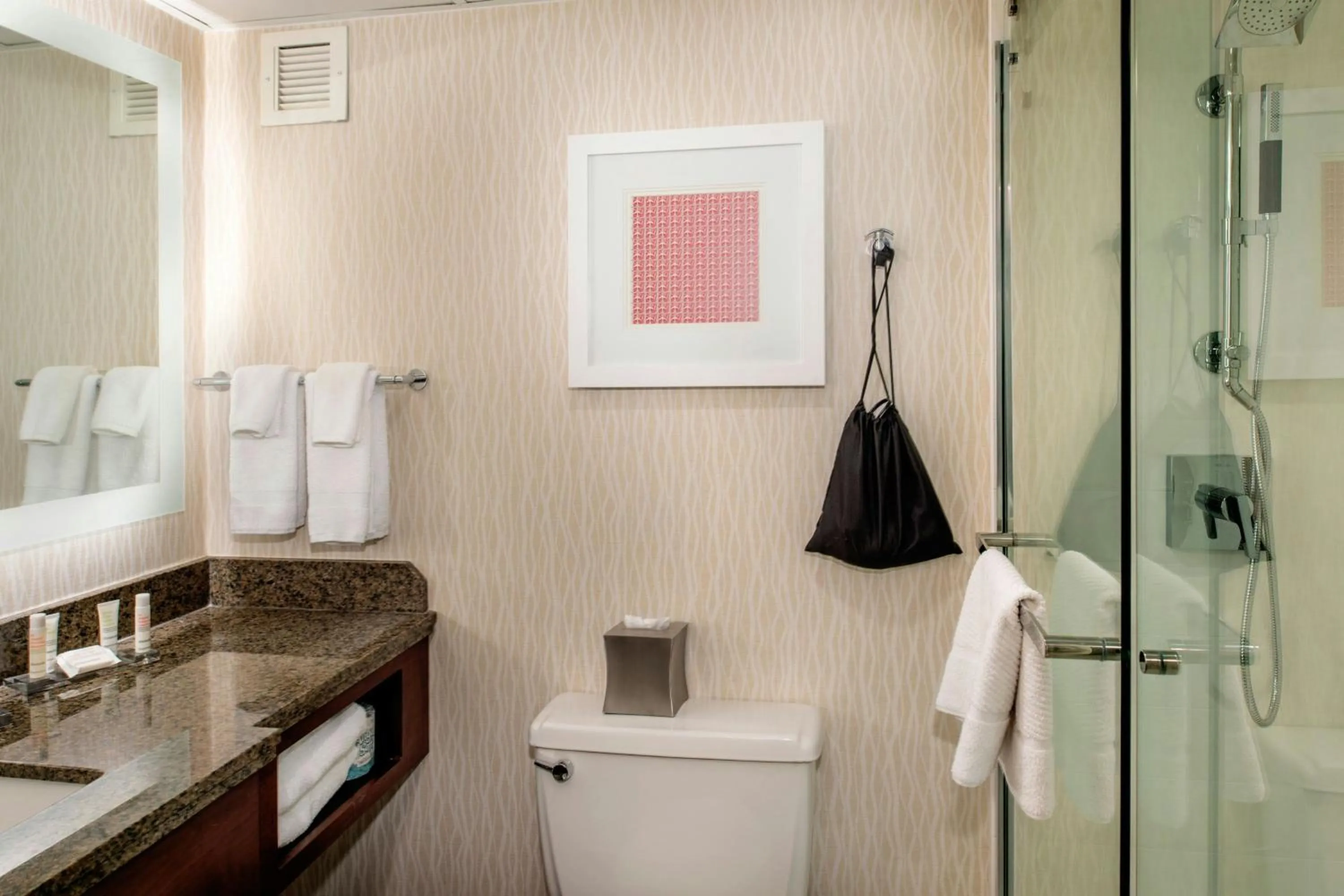 Bathroom in Marriott St. Louis Airport