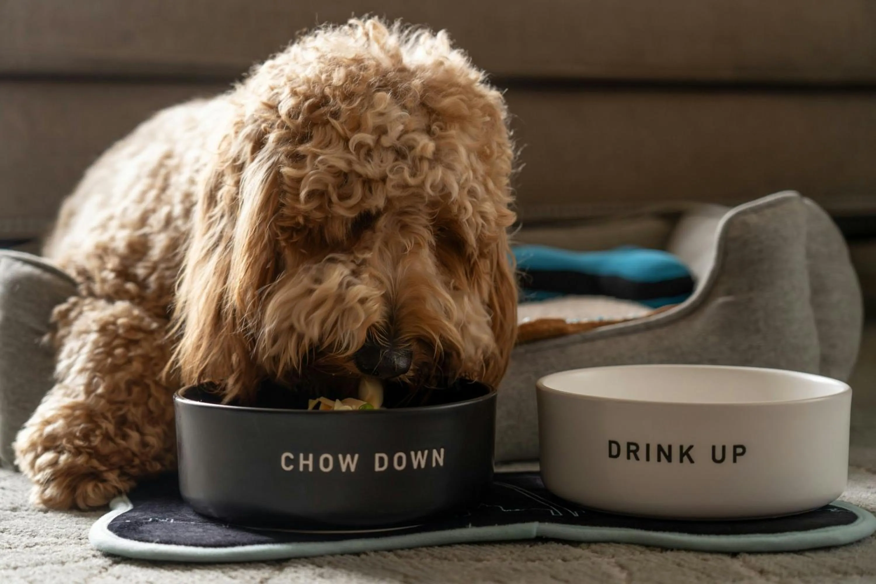 Other in The Ritz-Carlton, St. Louis