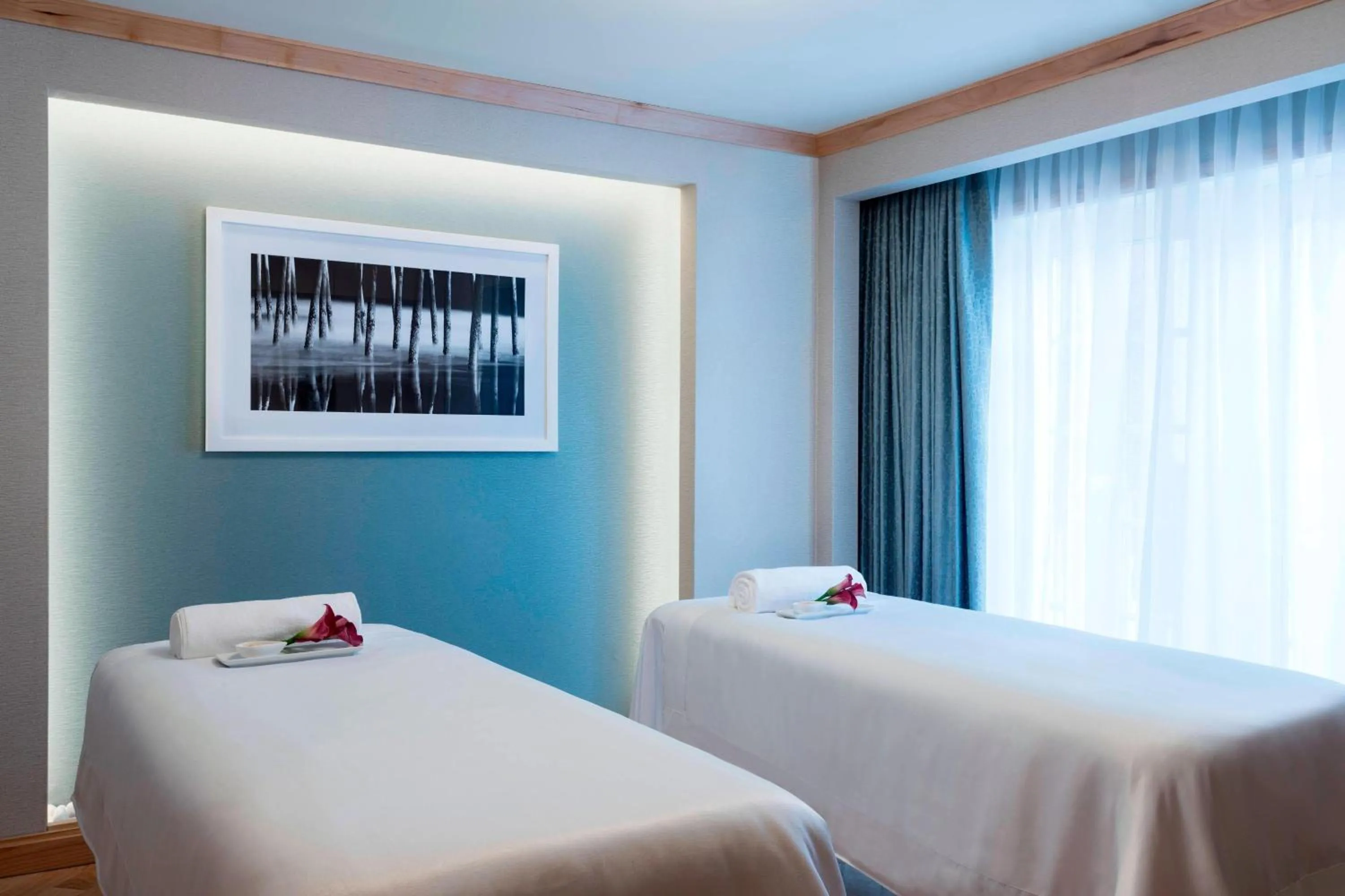 Spa and wellness centre/facilities, Bed in The Ritz-Carlton, St. Louis