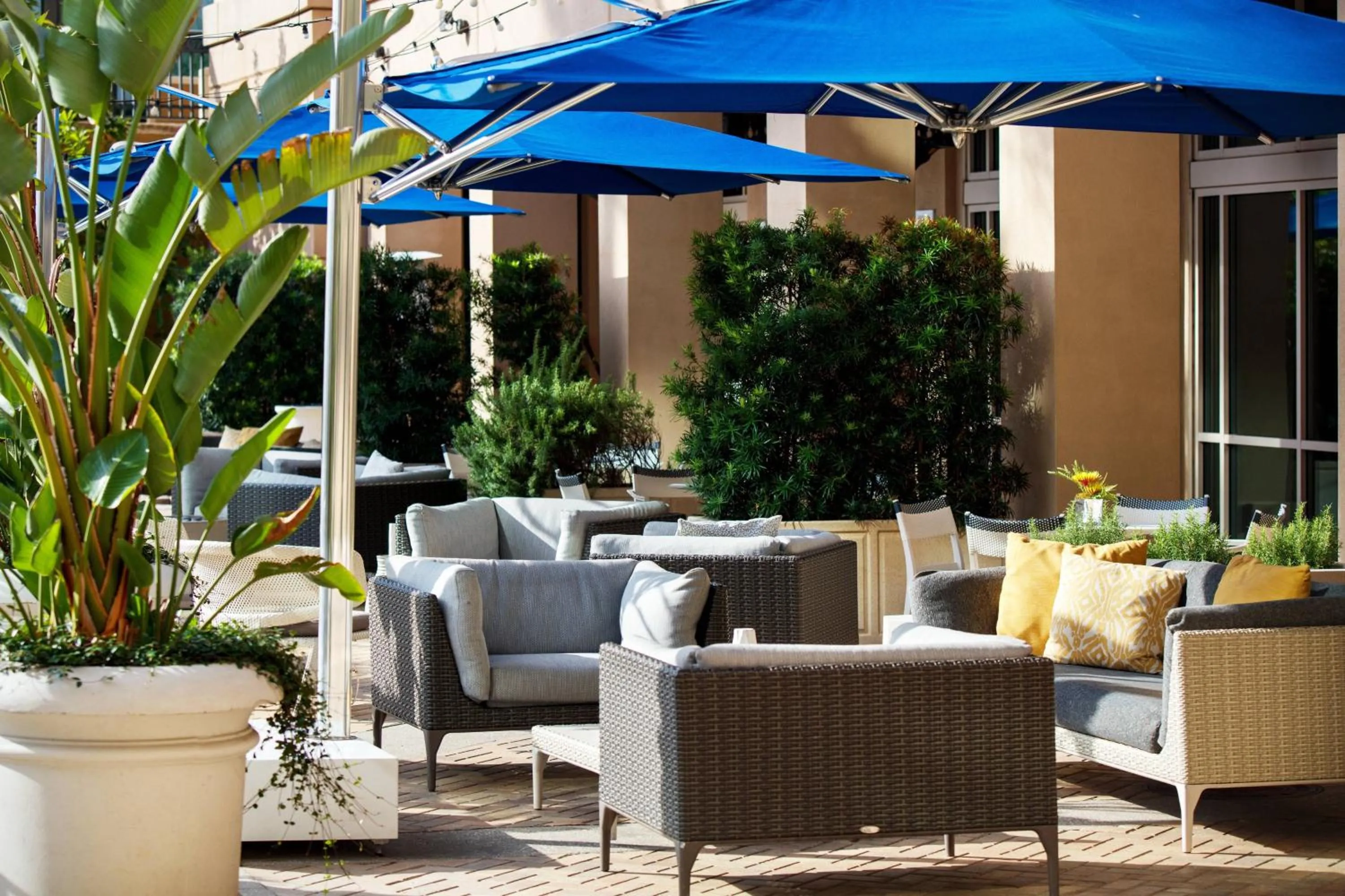 View (from property/room) in Renaissance Tampa International Plaza Hotel