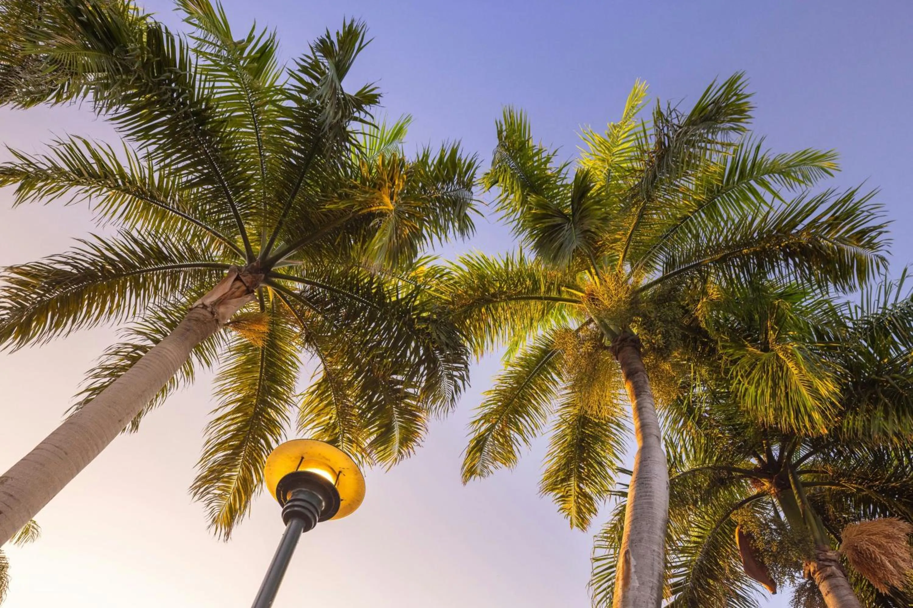 View (from property/room) in Renaissance Santo Domingo Jaragua Hotel & Casino