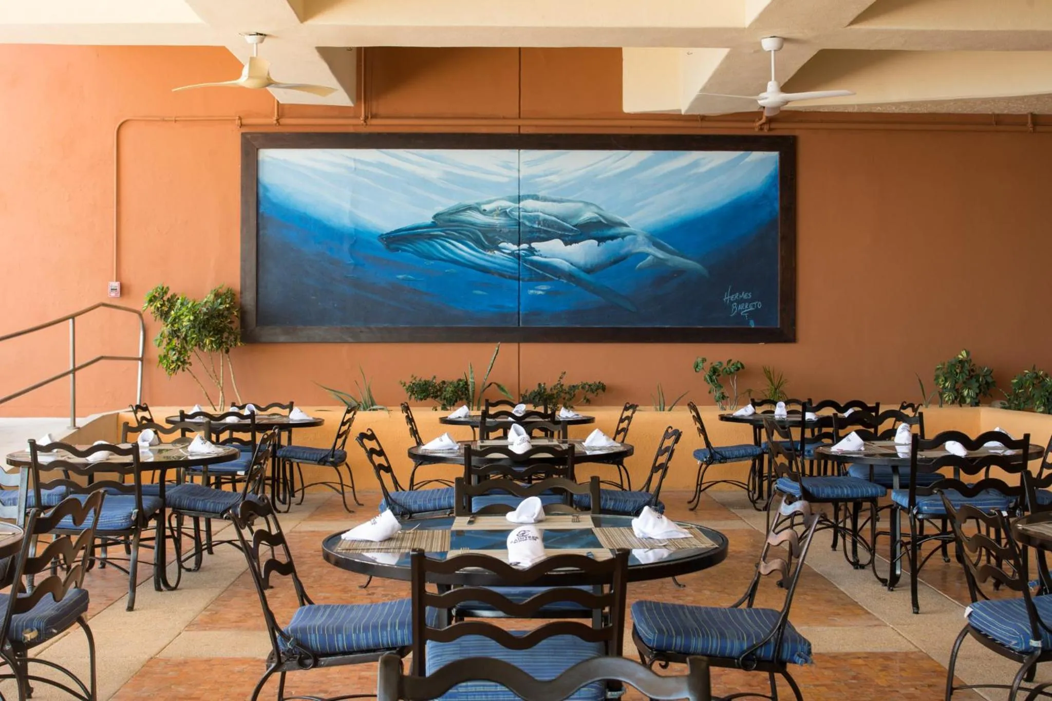 Restaurant/places to eat in Club Regina Los Cabos