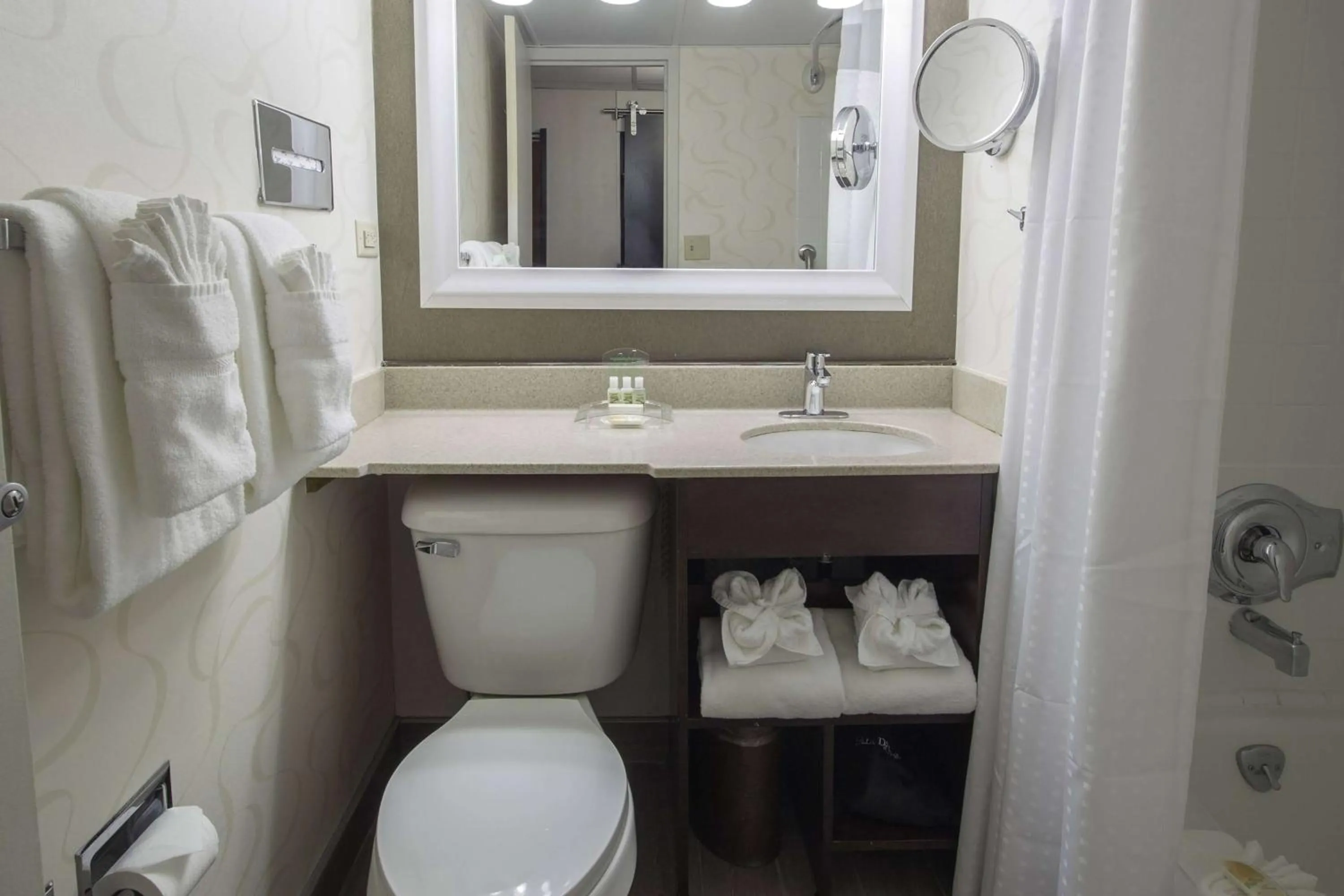 Bathroom in Wyndham Rochester Downtown