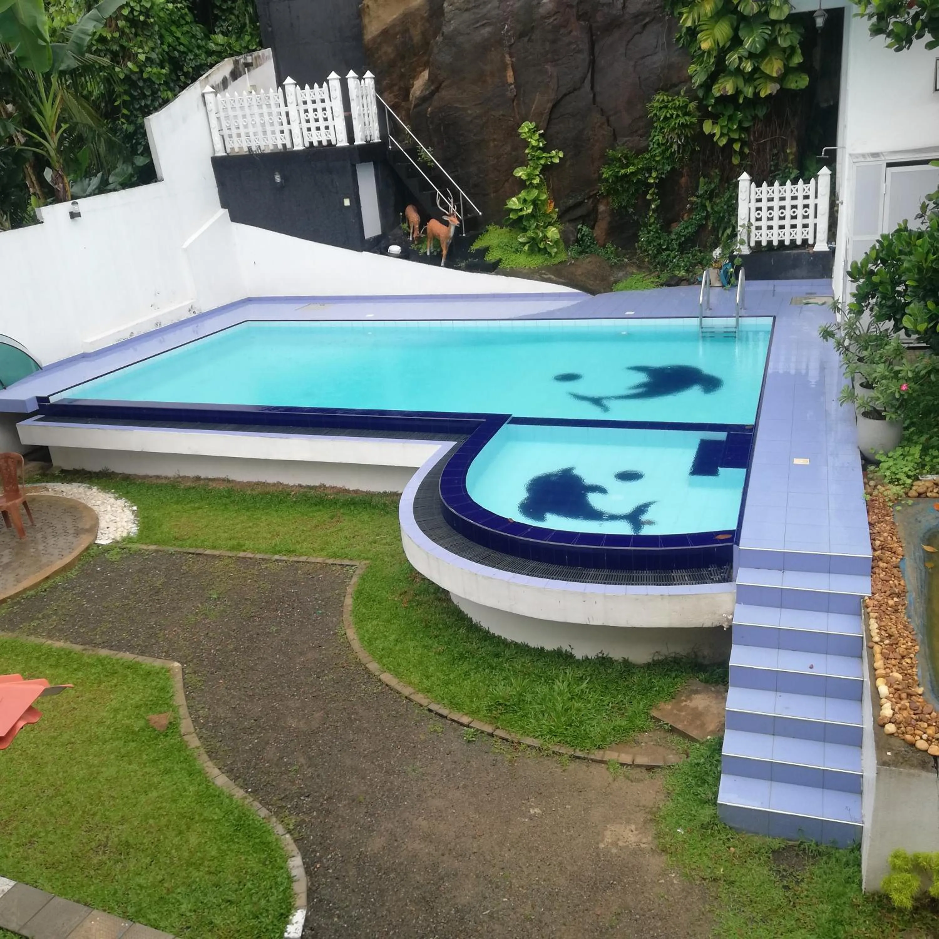 Elliot Nature Resort