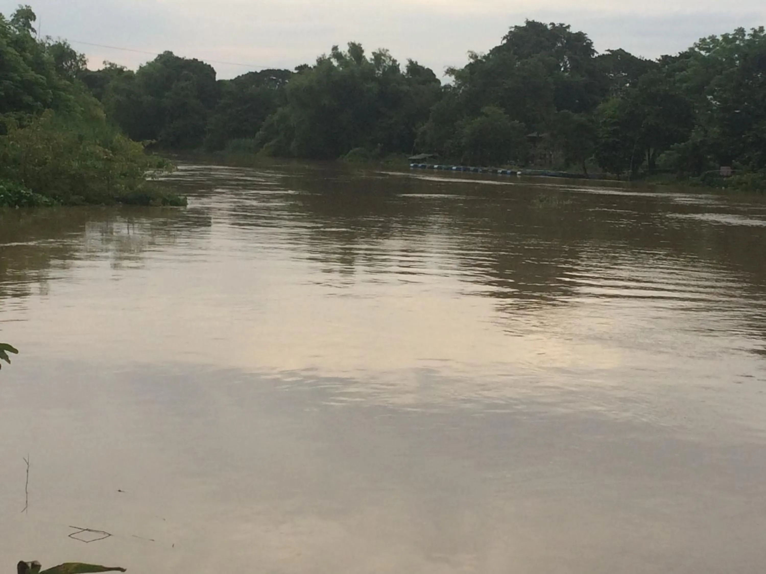 B&B Forest Hill Khao Yai