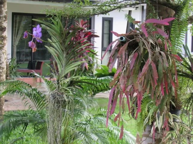 B&B Forest Hill Khao Yai