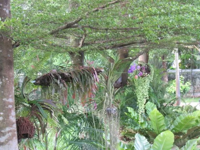 B&B Forest Hill Khao Yai