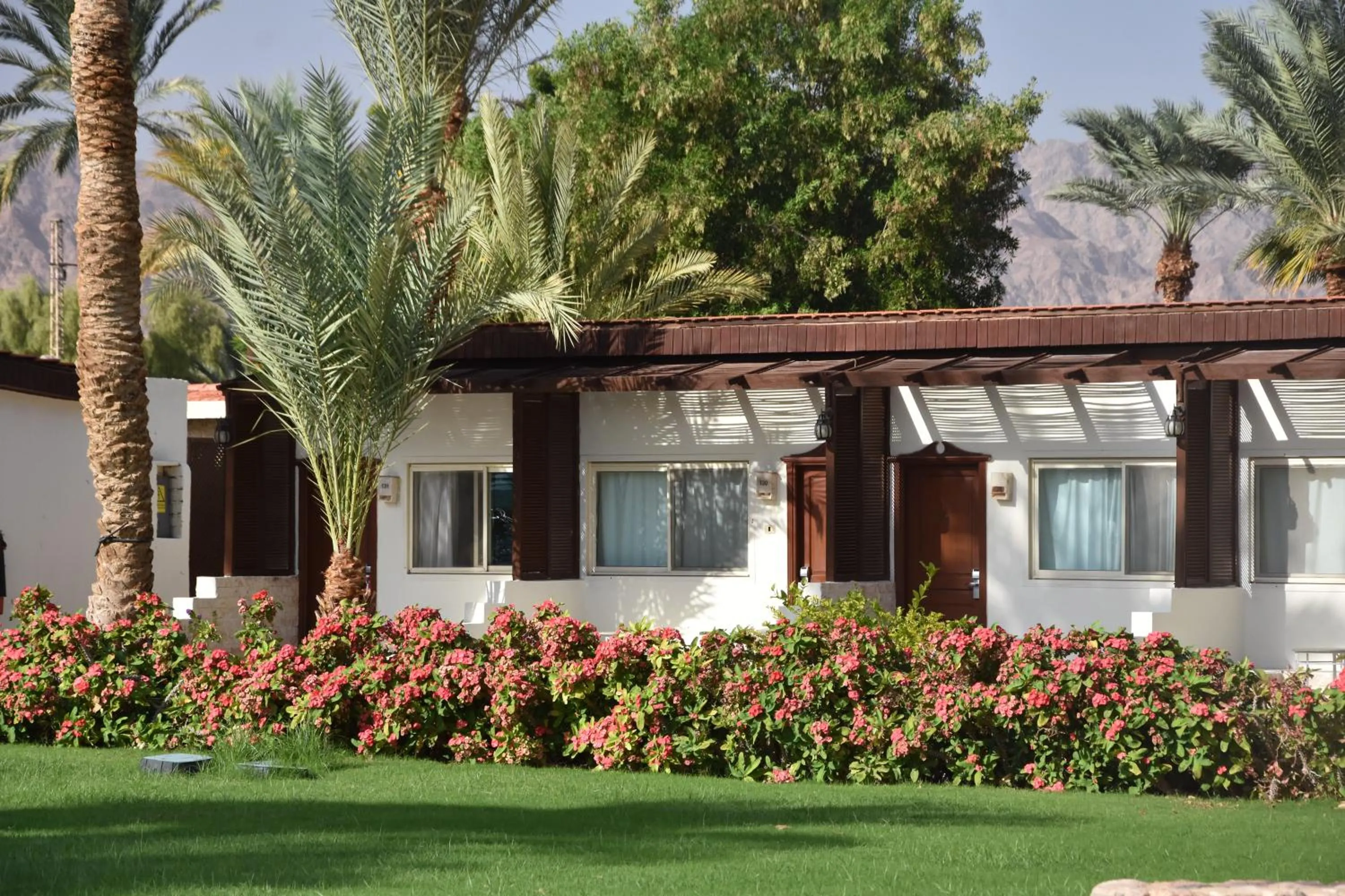 Nuweiba Club Resort