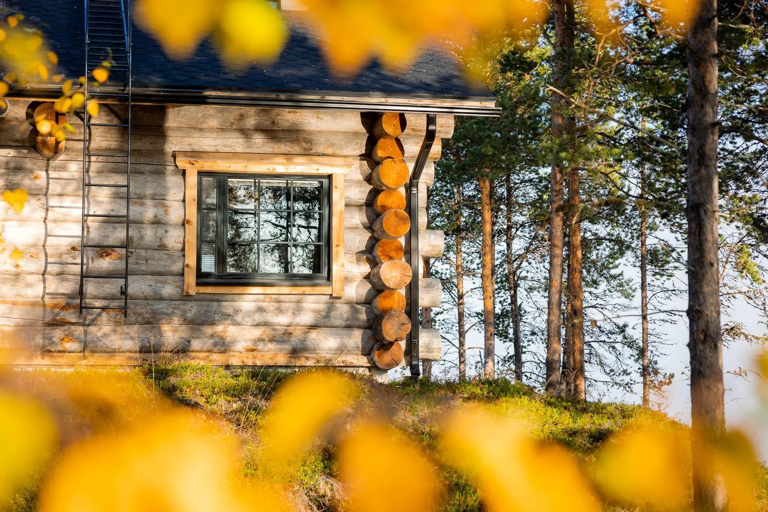 Property building in Wilderness Hotel Inari & Igloos