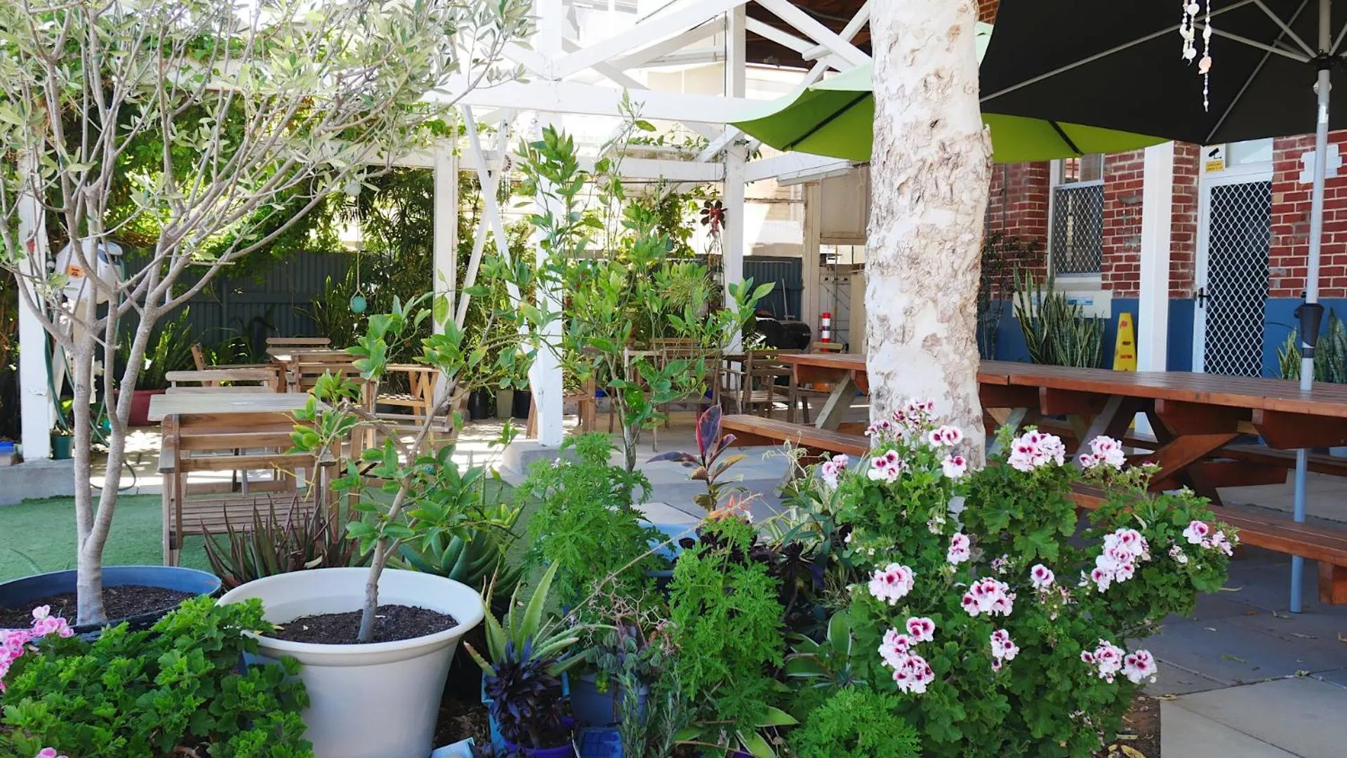 Patio in Geraldton Backpackers