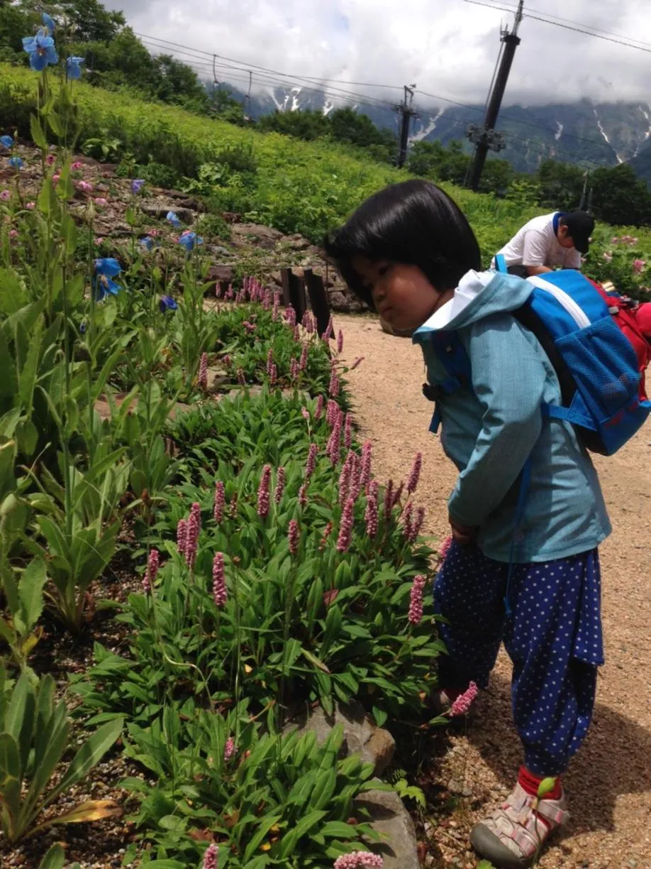Hiking in K's House Hakuba Alps - Travelers Hostel