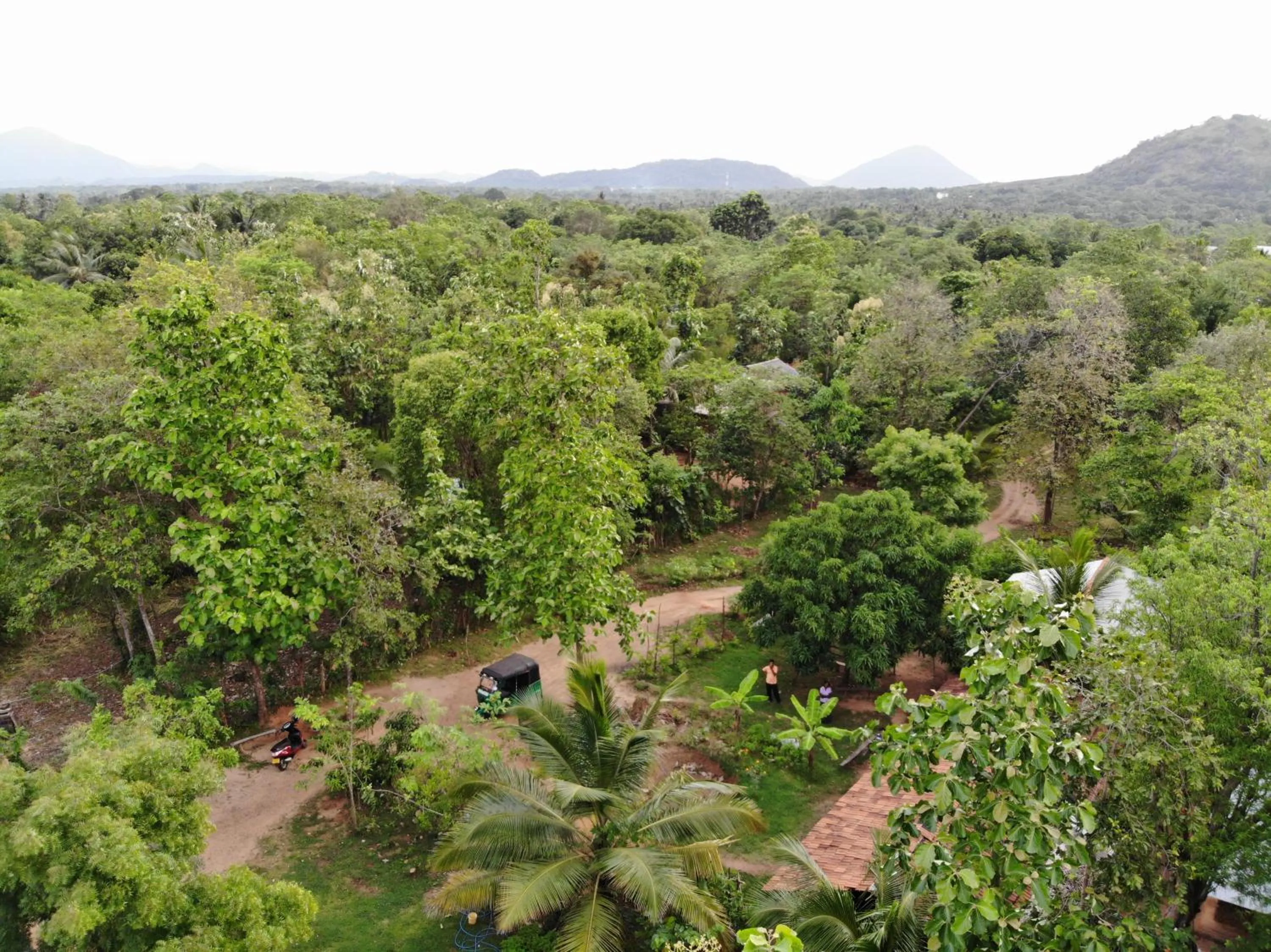 Natural landscape in Araliya Self Cooking Resort Dambulla