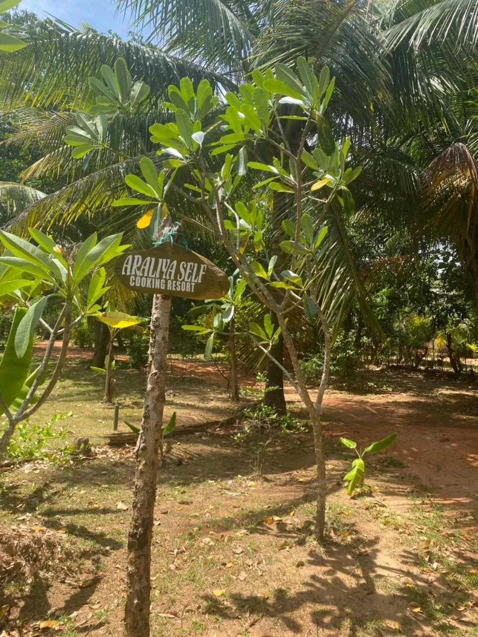 Garden in Araliya Self Cooking Resort Dambulla